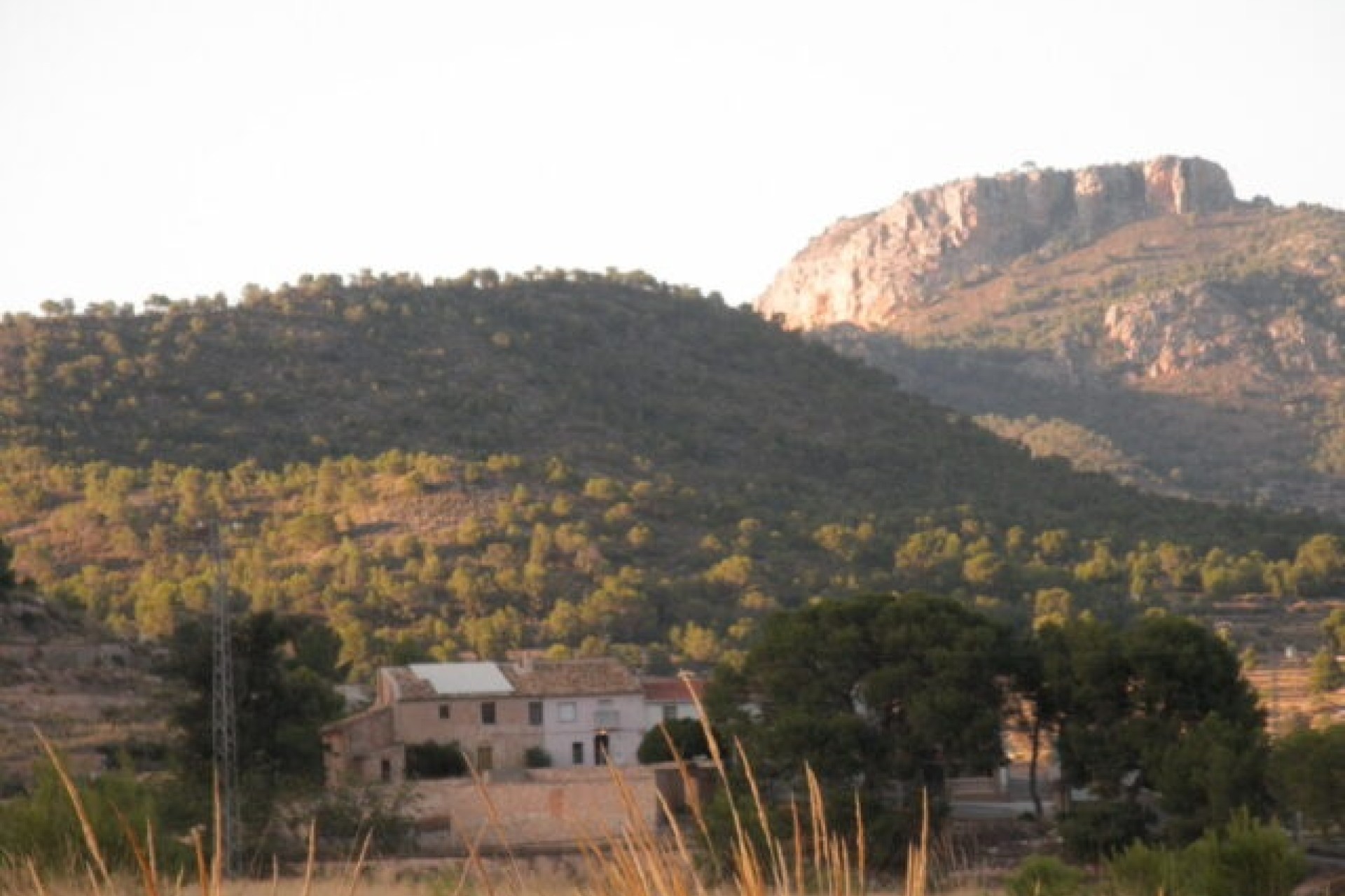 Sprzedaż - Finca / Dom wiejski -
La Romana