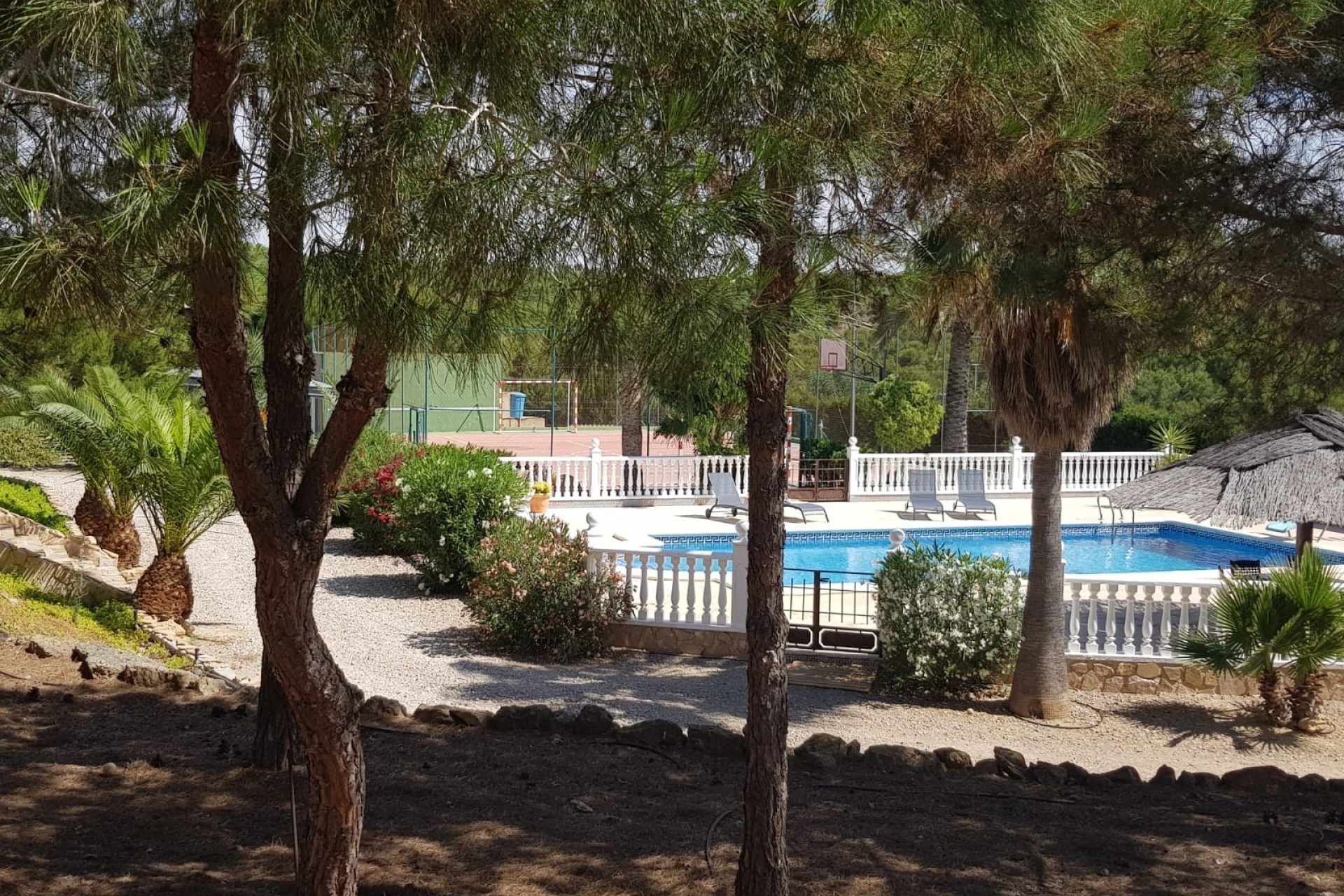 Sprzedaż - Finca / Dom wiejski -
Murcia