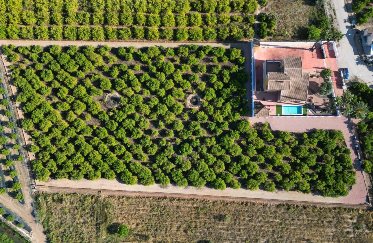 Sprzedaż - Finca / Dom wiejski -
Orihuela - Correntías Medias