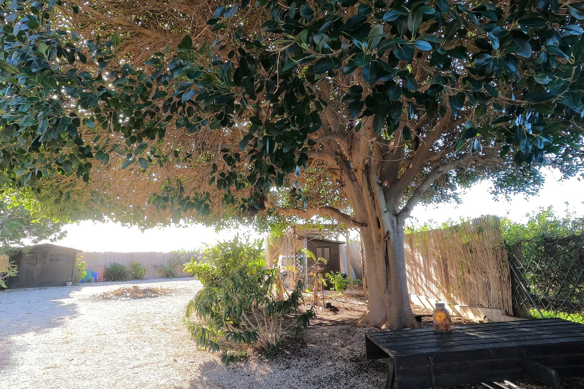 Sprzedaż - Finca / Dom wiejski -
Orihuela