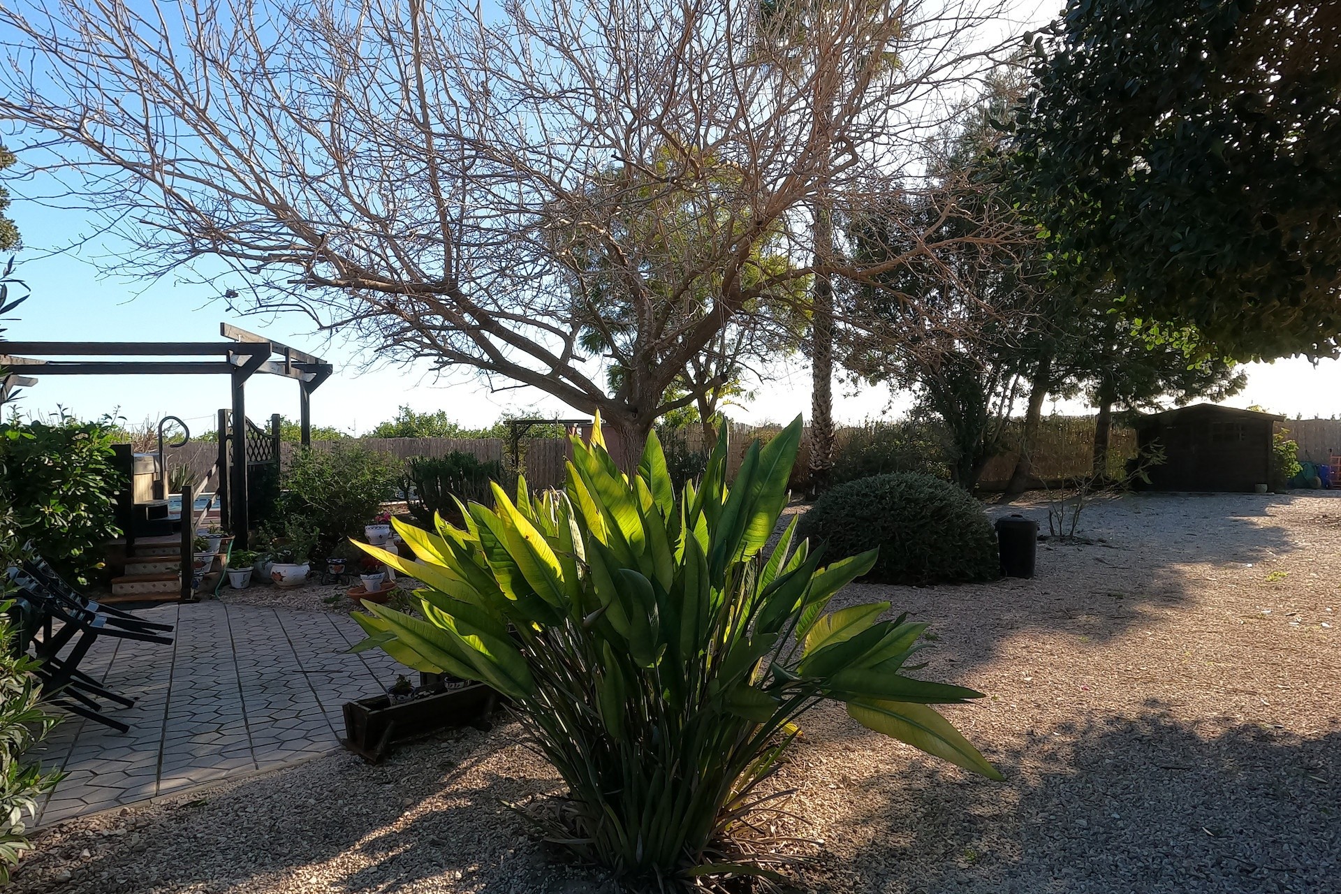 Sprzedaż - Finca / Dom wiejski -
Orihuela