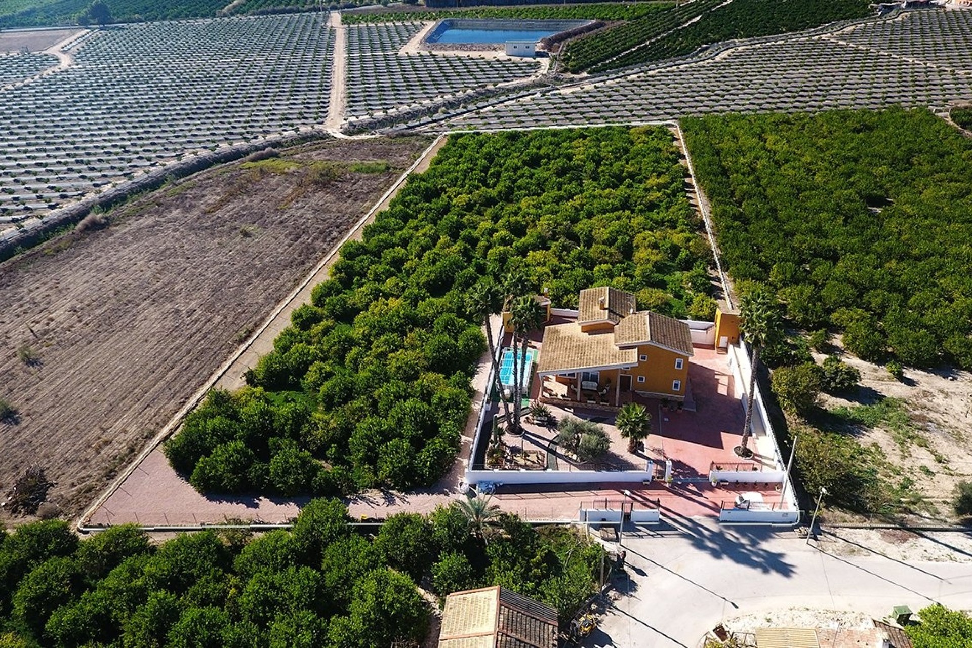 Sprzedaż - Finca / Dom wiejski -
Orihuela