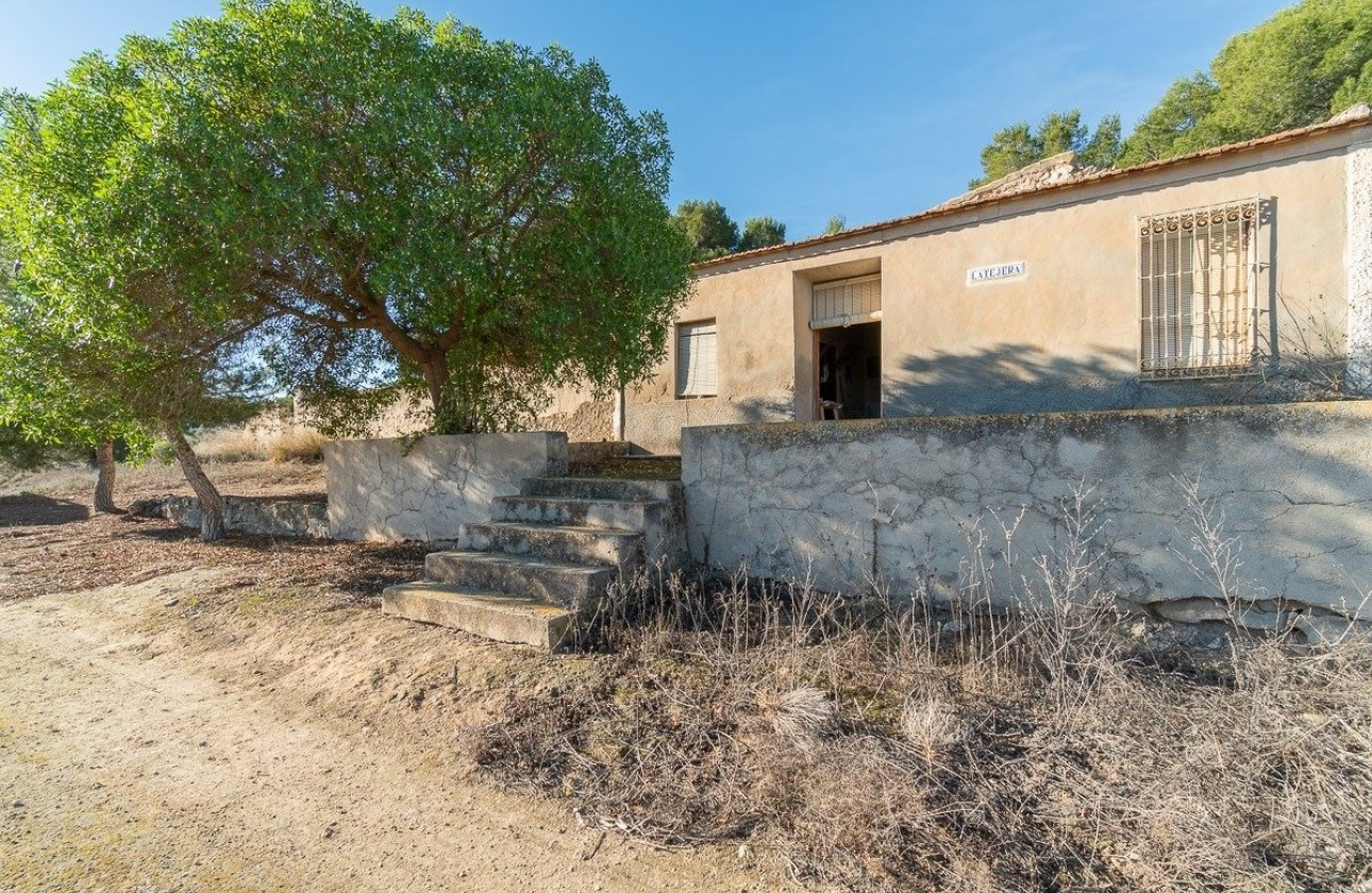 Sprzedaż - Finca / Dom wiejski -
Pilar de la Horadada - Pinar de Campoverde