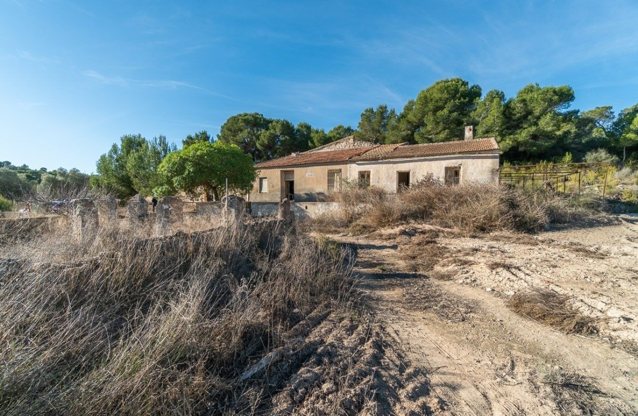 Sprzedaż - Finca / Dom wiejski -
Pilar de la Horadada - Pinar de Campoverde
