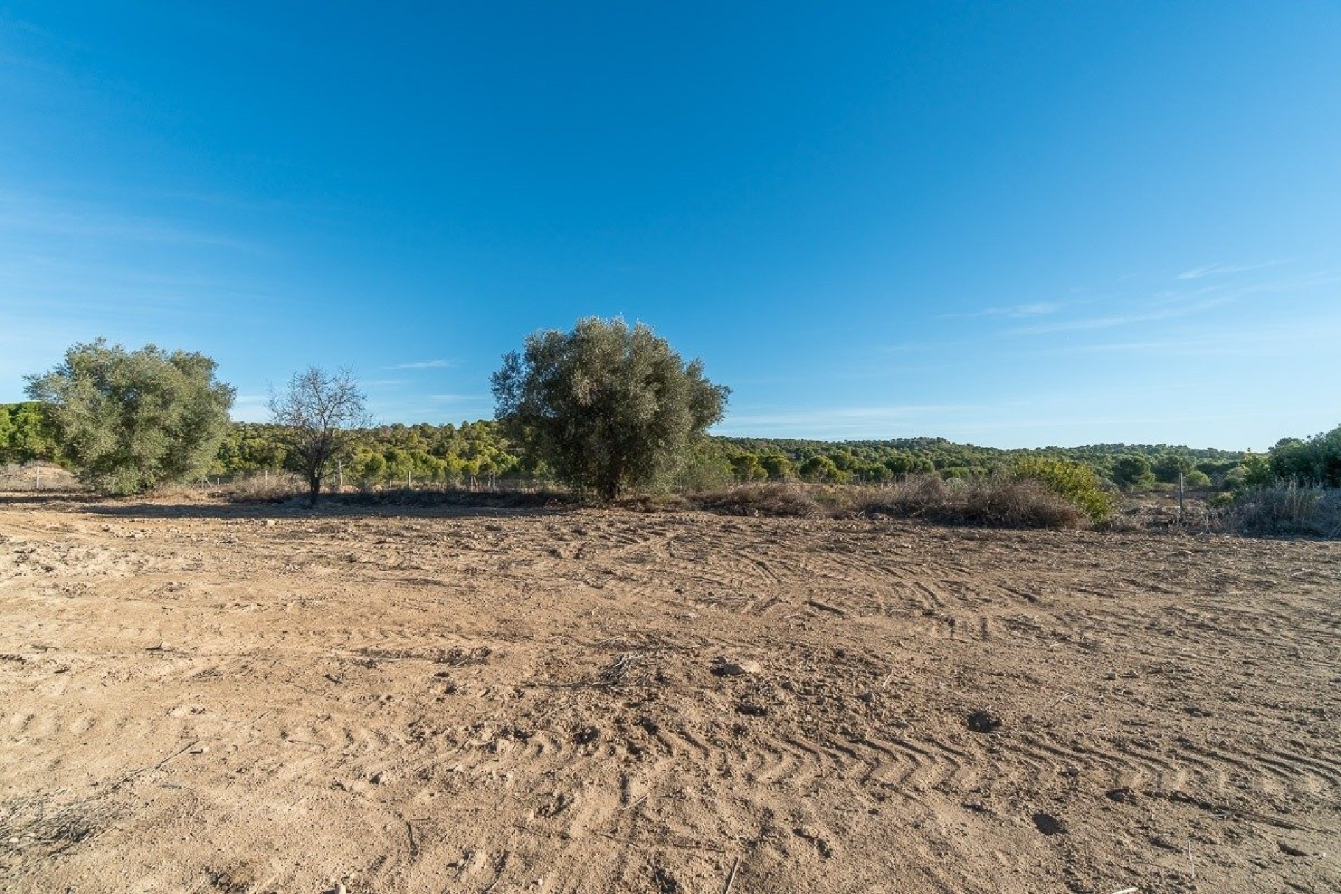 Sprzedaż - Finca / Dom wiejski -
Pilar de la Horadada - Pinar de Campoverde