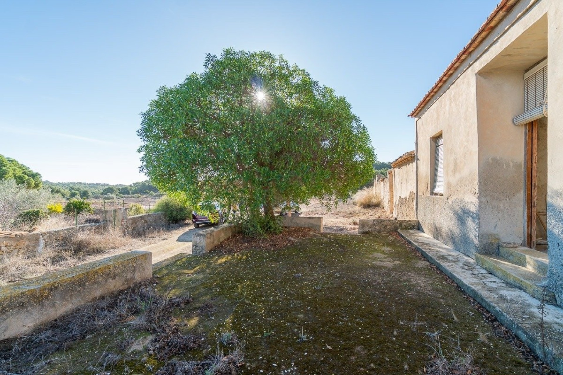 Sprzedaż - Finca / Dom wiejski -
Pilar de la Horadada - Pinar de Campoverde