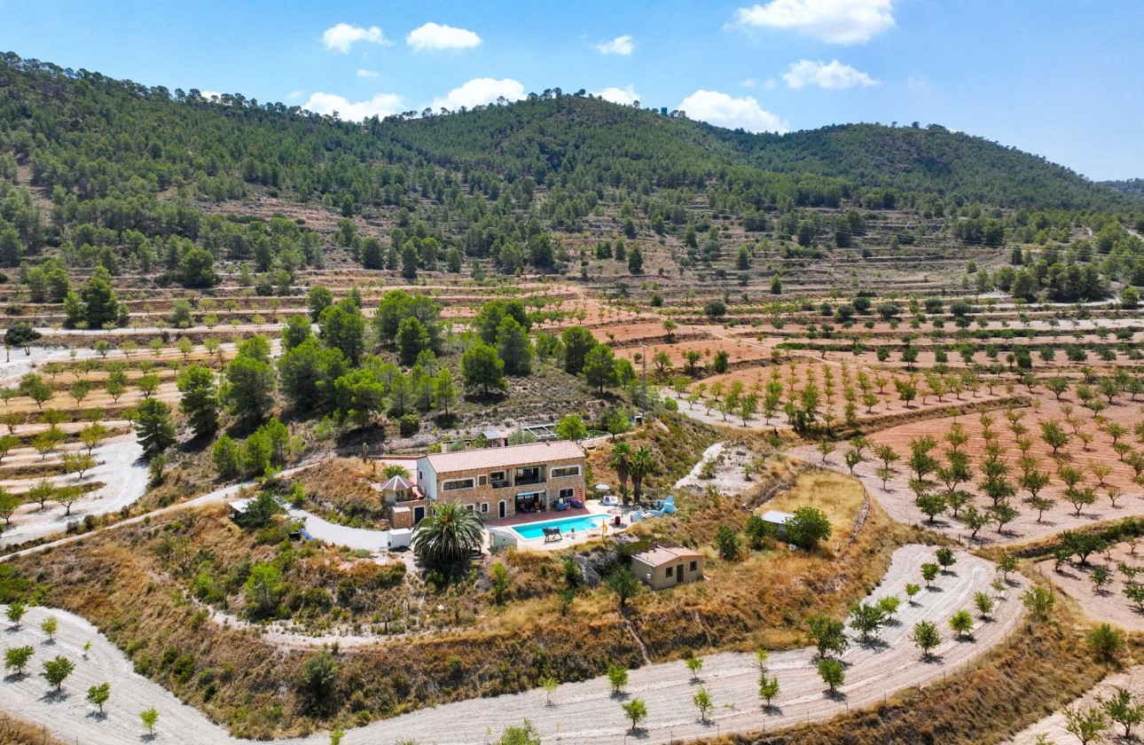 Sprzedaż - Finca / Dom wiejski -
Pinoso