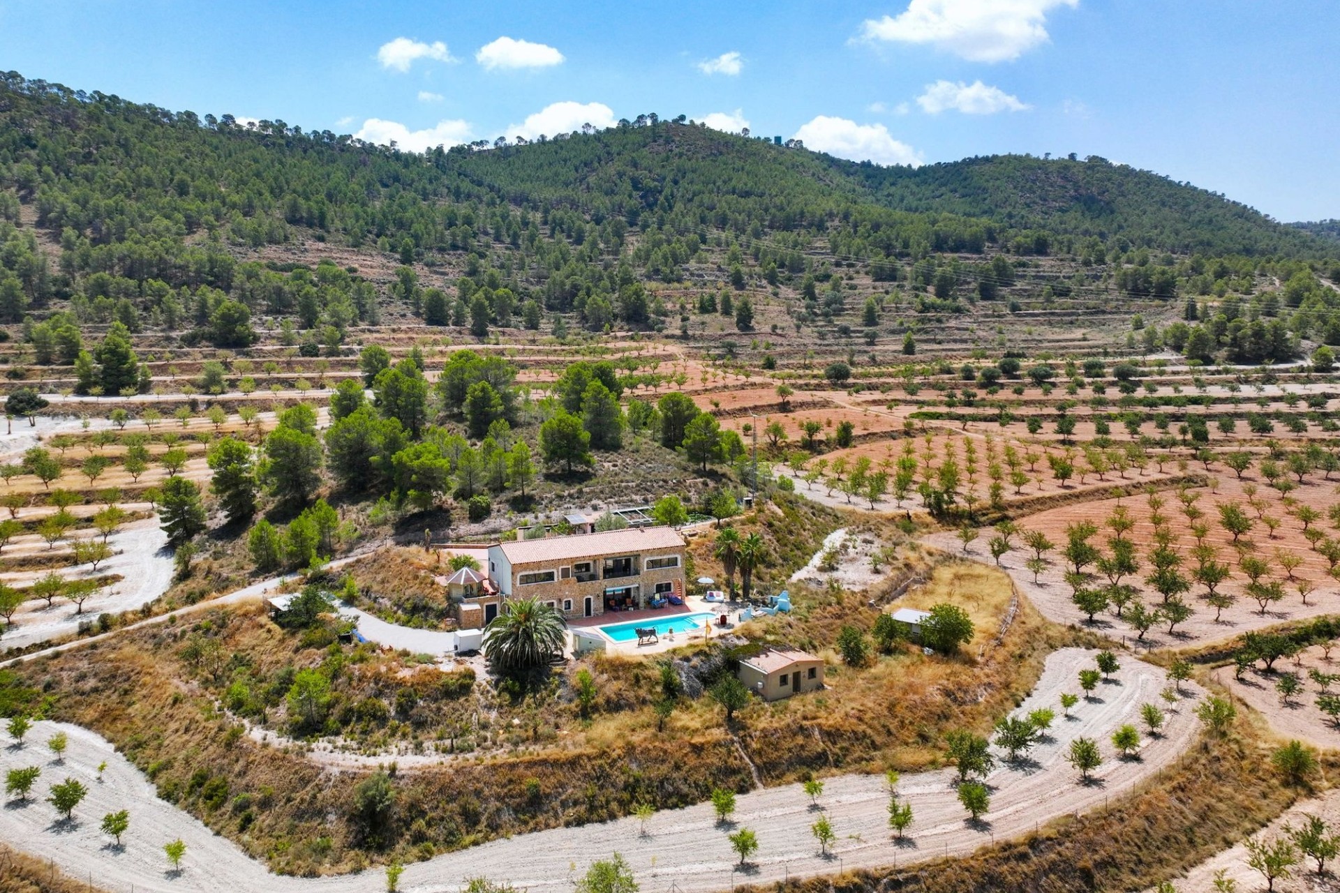 Sprzedaż - Finca / Dom wiejski -
Pinoso