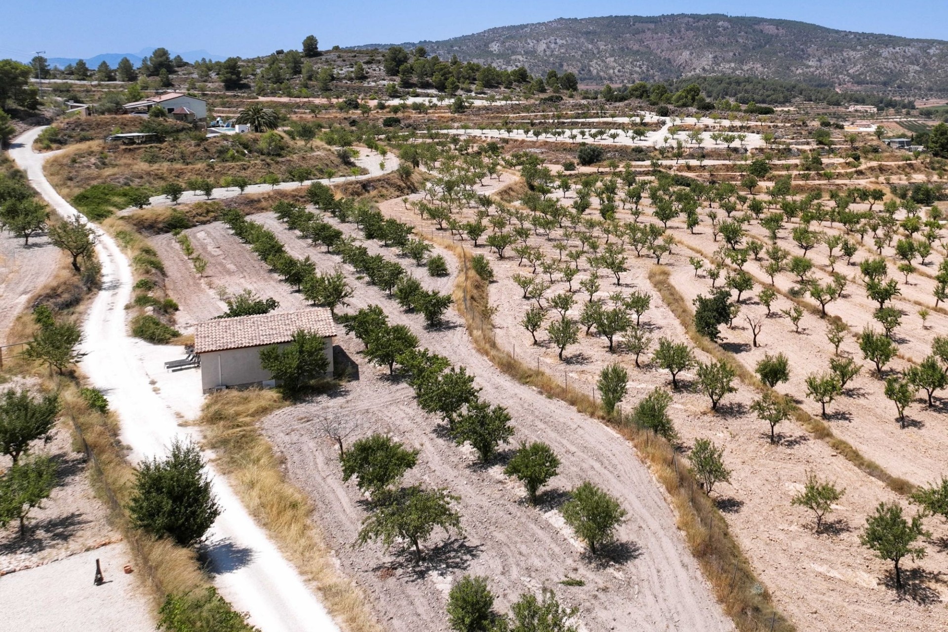 Sprzedaż - Finca / Dom wiejski -
Pinoso