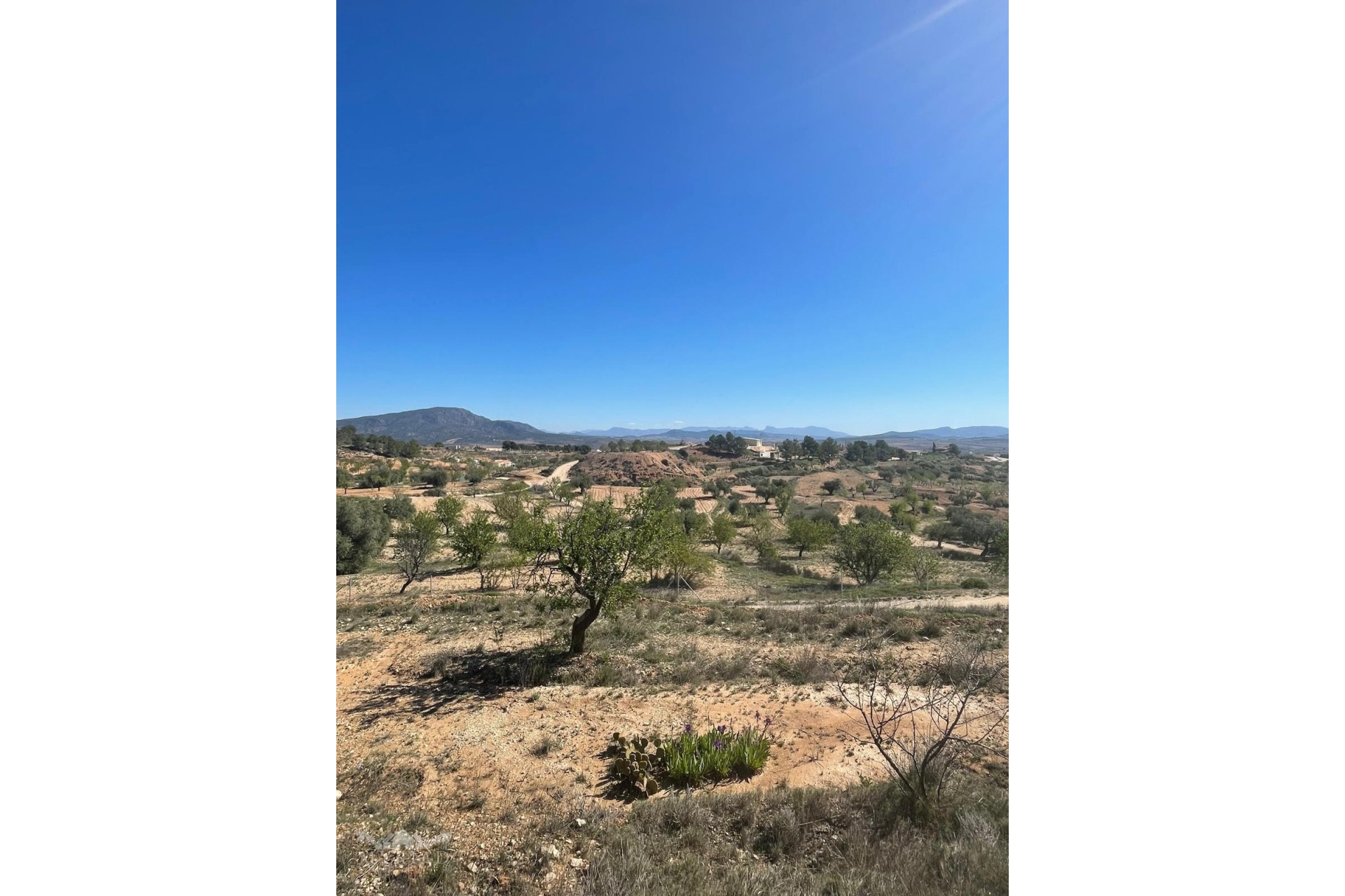 Sprzedaż - Finca / Dom wiejski -
Raspay - Raspay Murcia