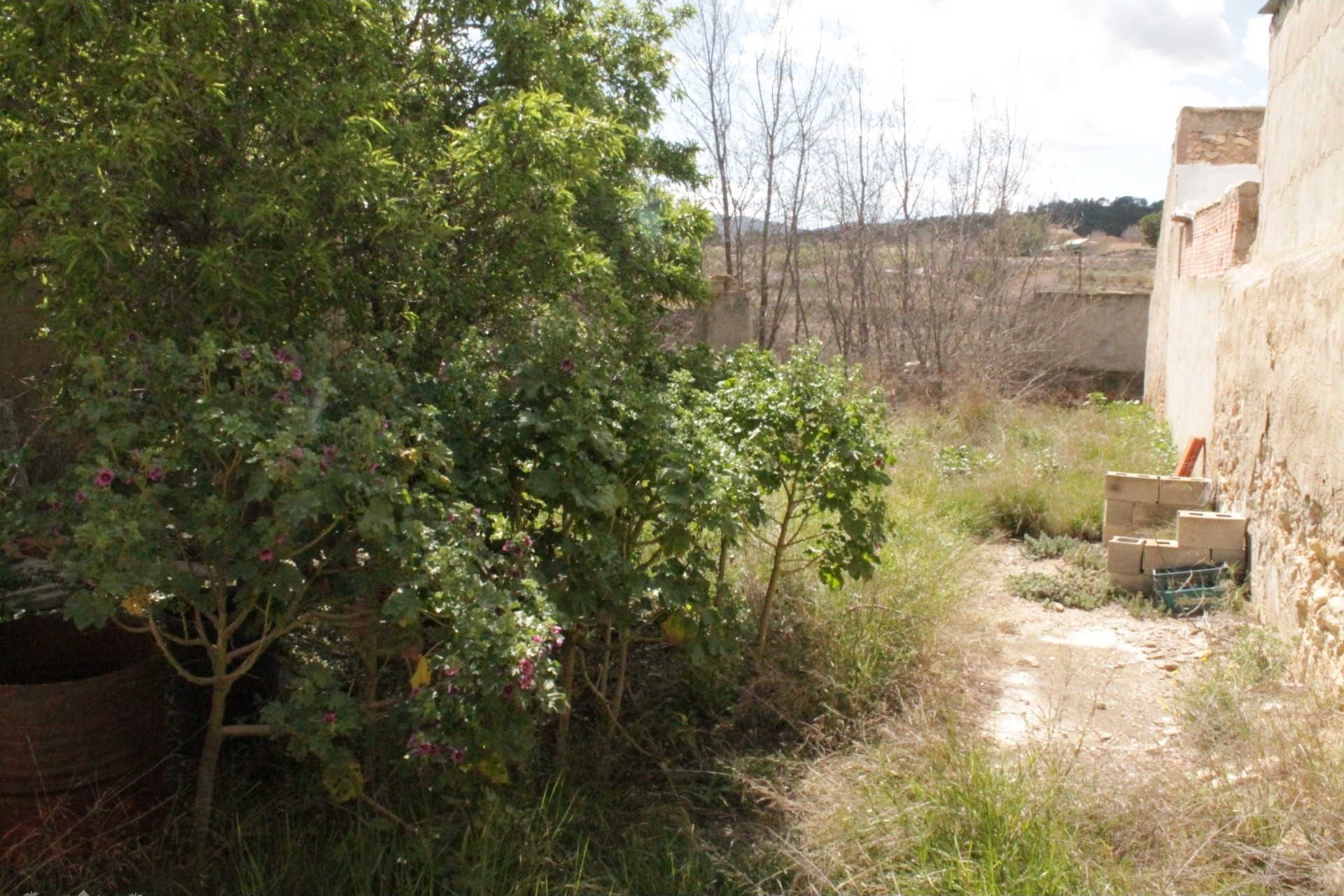 Sprzedaż - Finca / Dom wiejski -
&Uacute;beda - &Uacute;beda Alicante