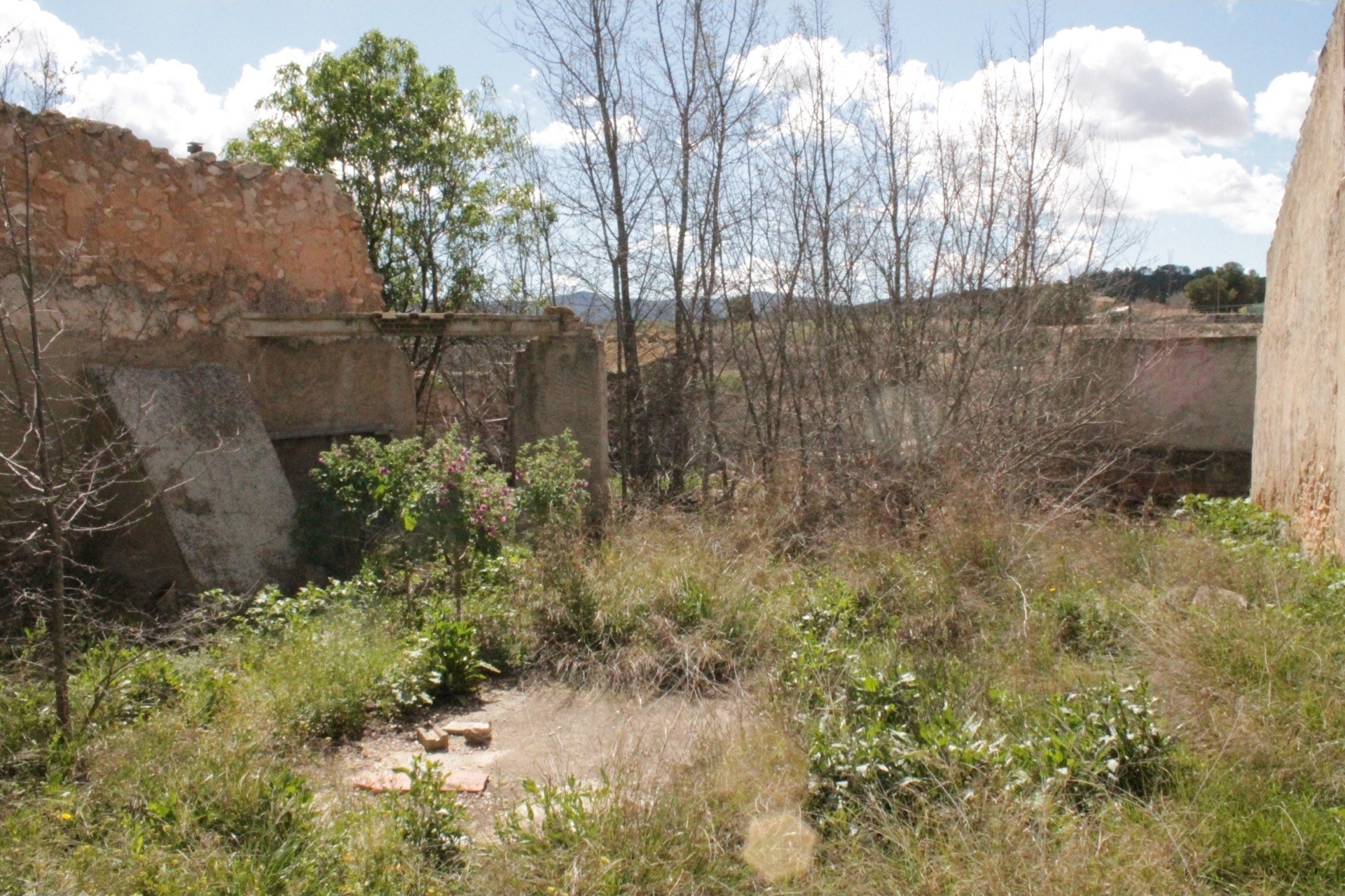 Sprzedaż - Finca / Dom wiejski -
&Uacute;beda - &Uacute;beda Alicante