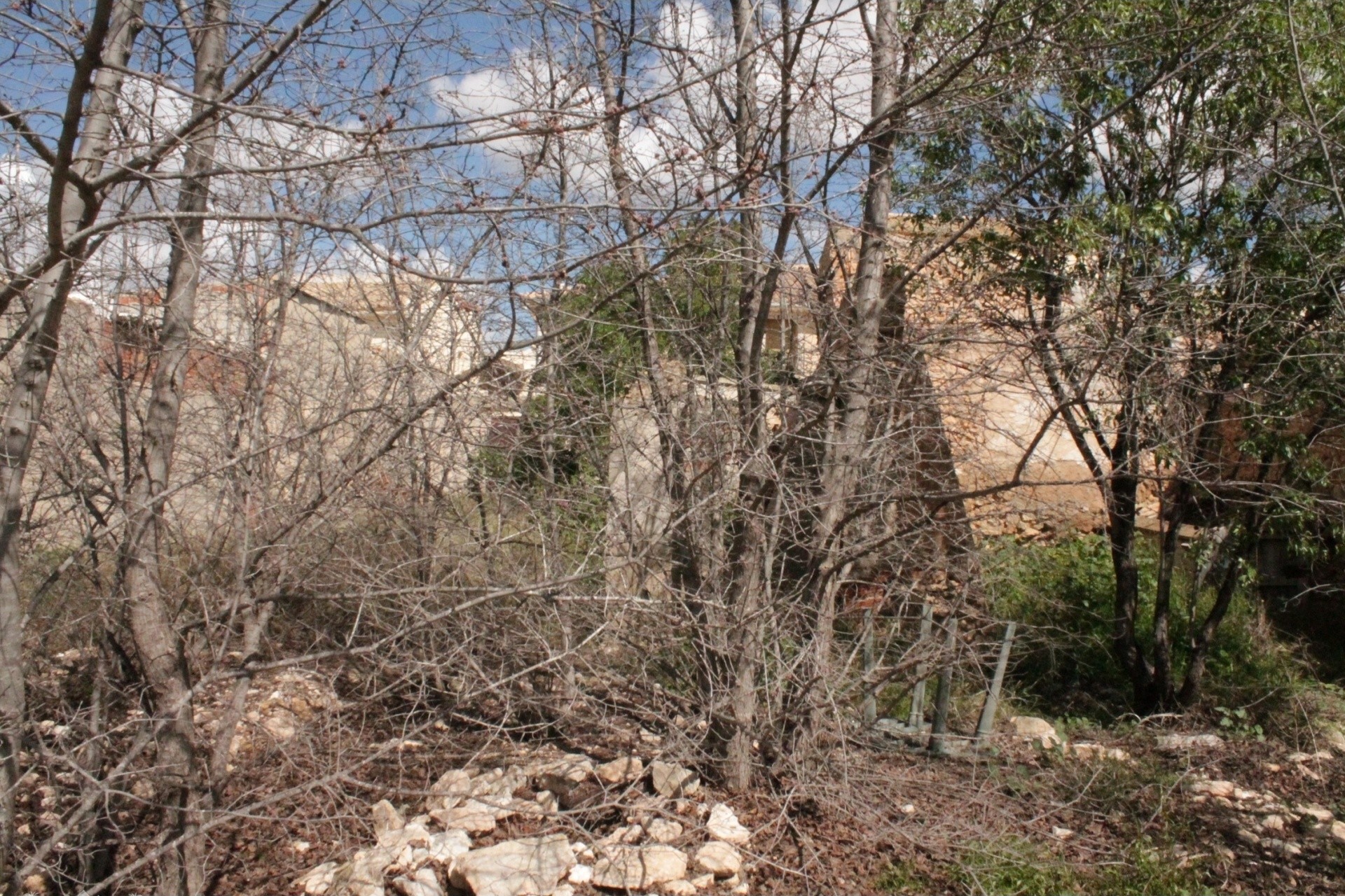 Sprzedaż - Finca / Dom wiejski -
&Uacute;beda - &Uacute;beda Alicante