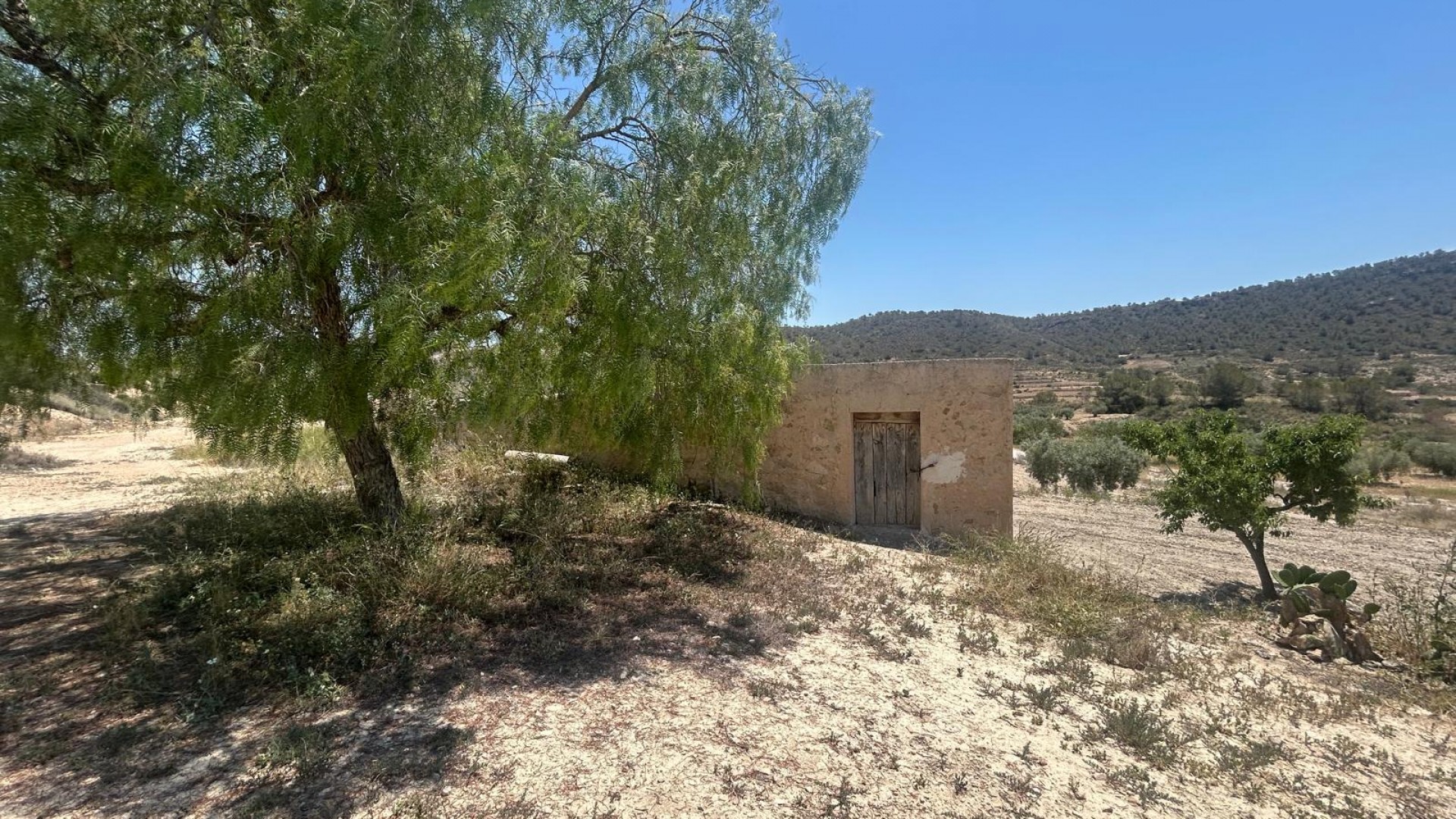 Sprzedaż - Finca nieruchomość wiejska -
Abanilla - ABANILLA