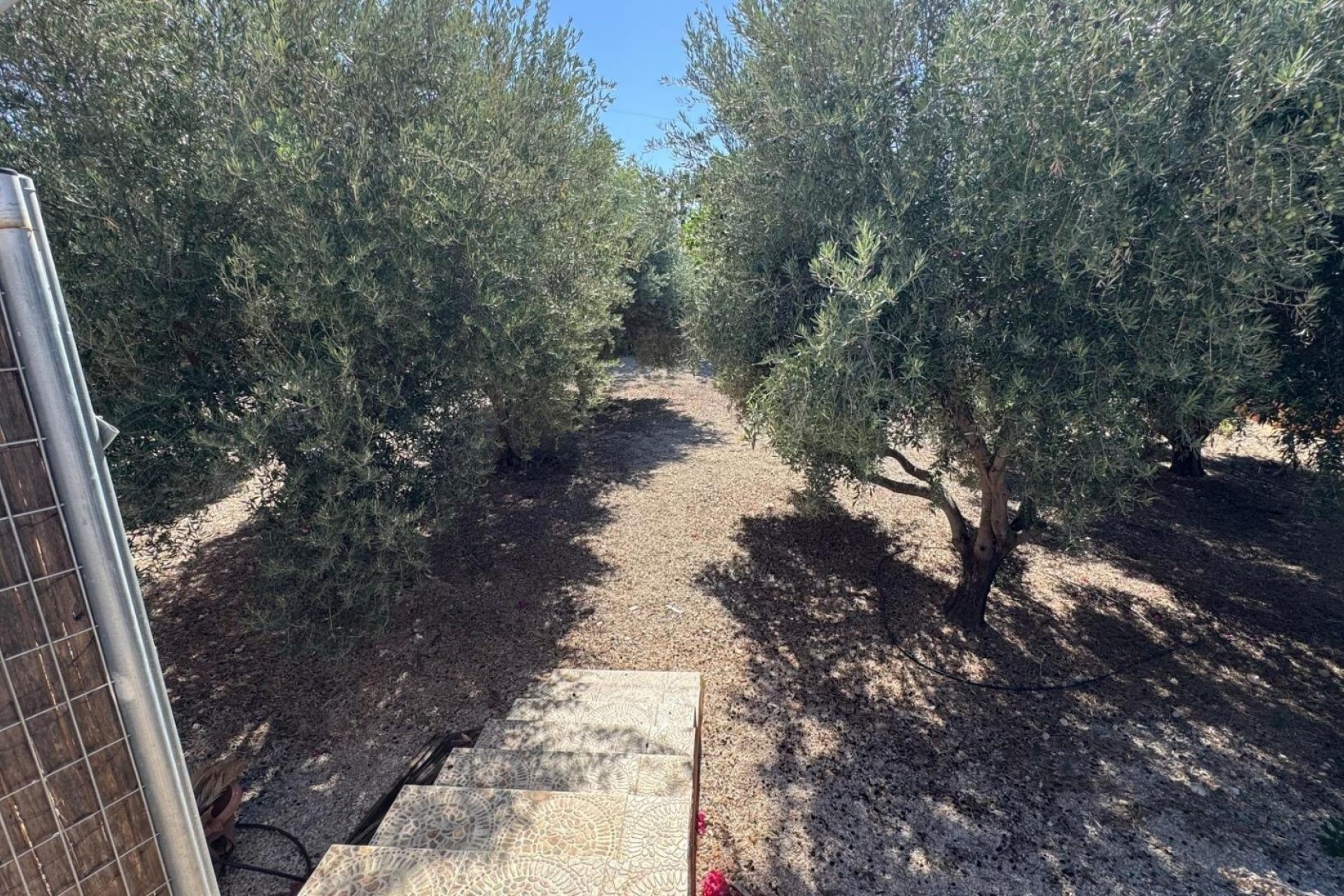 Sprzedaż - Finca nieruchomość wiejska -
Albatera - BARRANCO SAN CAYETANO