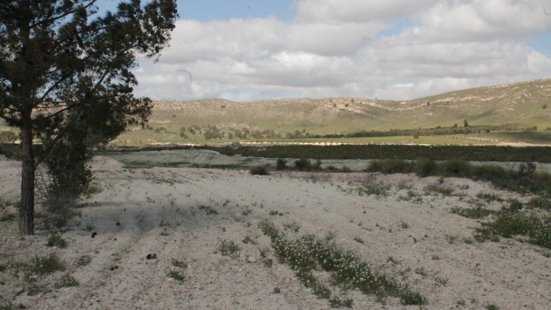 Sprzedaż - Finca nieruchomość wiejska -
Cañada del Trigo - Canada del Trigo Murcia