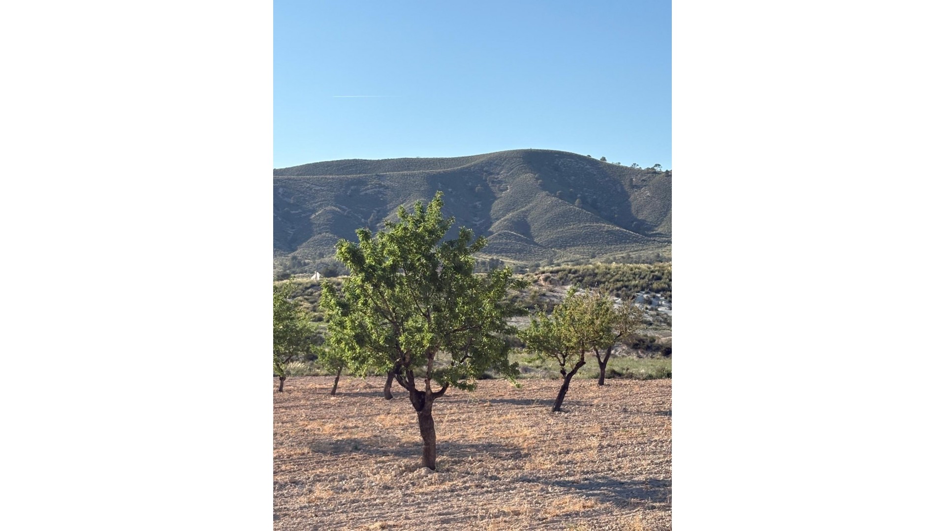 Sprzedaż - Finca nieruchomość wiejska -
Cañada del Trigo - Canada del Trigo Murcia