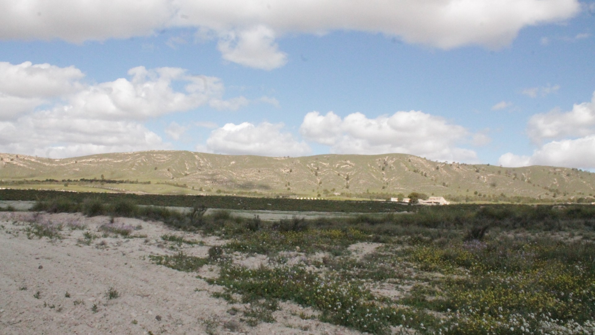Sprzedaż - Finca nieruchomość wiejska -
Cañada del Trigo - Canada del Trigo Murcia