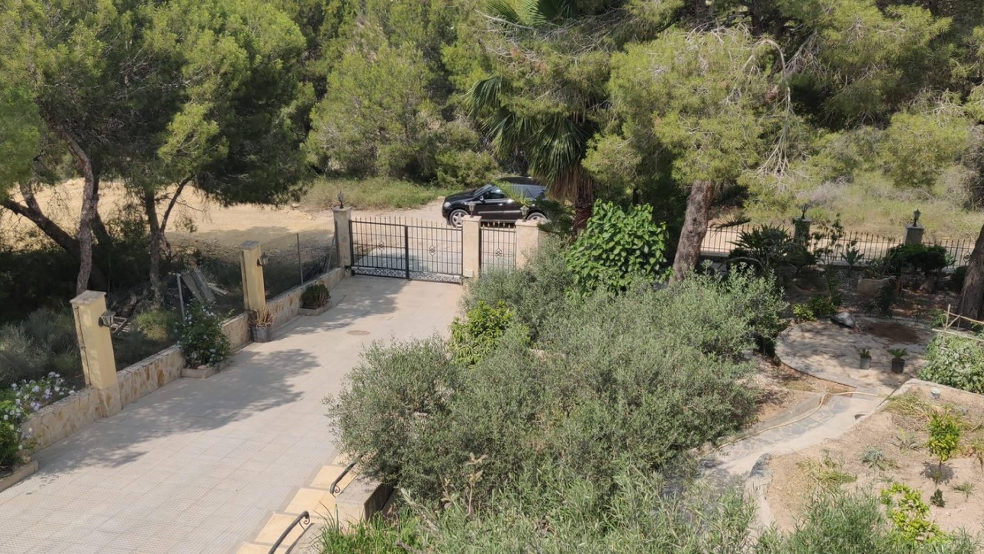 Sprzedaż - Finca nieruchomość wiejska -
Cañadas de San Pedro - CAÃADA DE SAN PEDRO