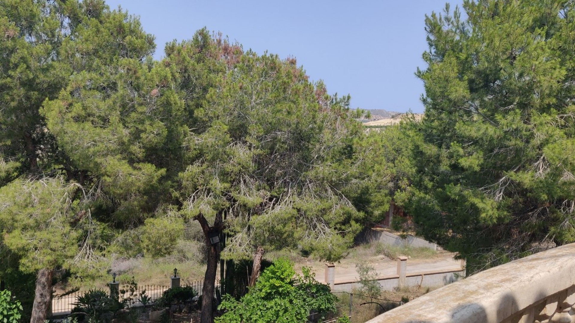 Sprzedaż - Finca nieruchomość wiejska -
Cañadas de San Pedro - CAÃADA DE SAN PEDRO