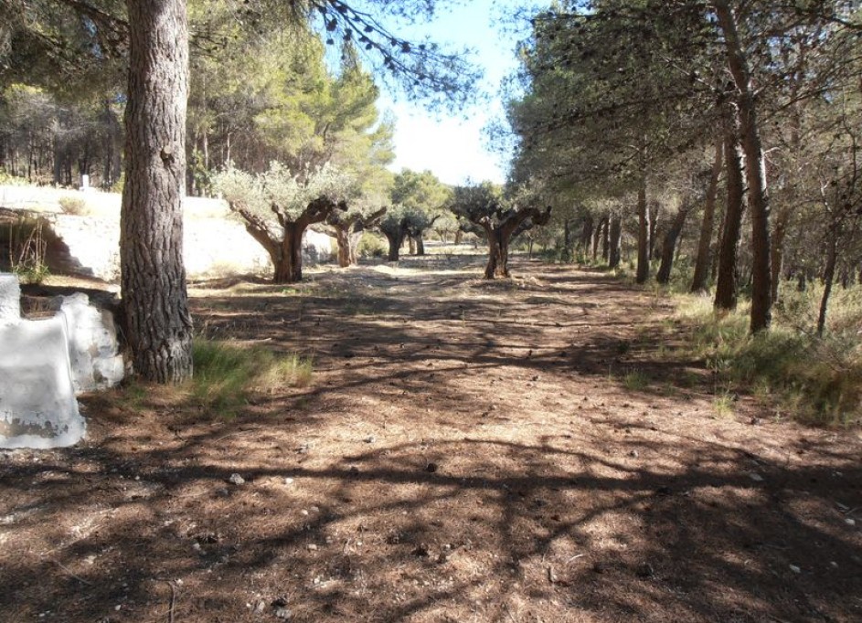 Sprzedaż - Finca nieruchomość wiejska -
Castalla