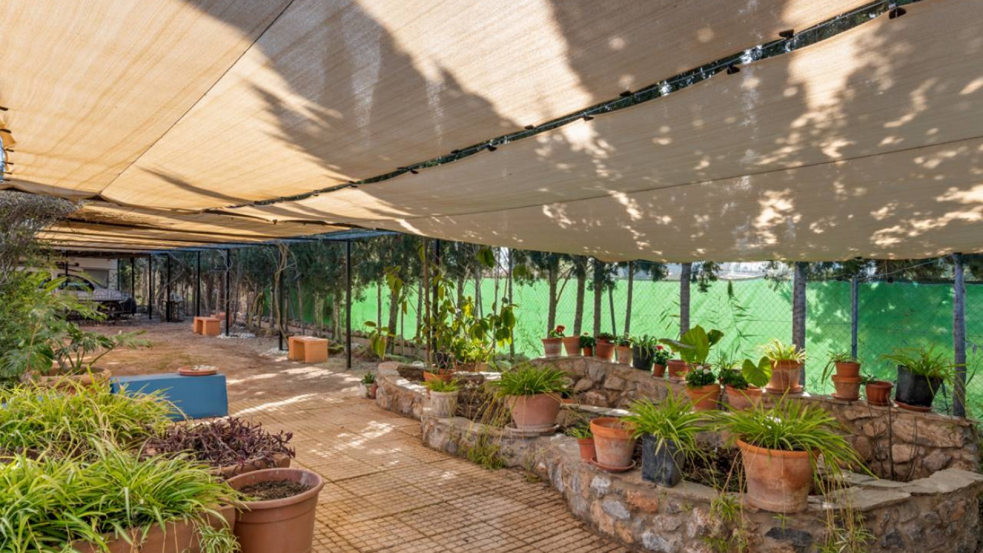 Sprzedaż - Finca nieruchomość wiejska -
Catral