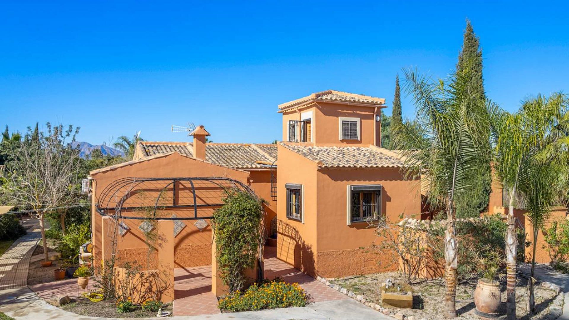 Sprzedaż - Finca nieruchomość wiejska -
Catral