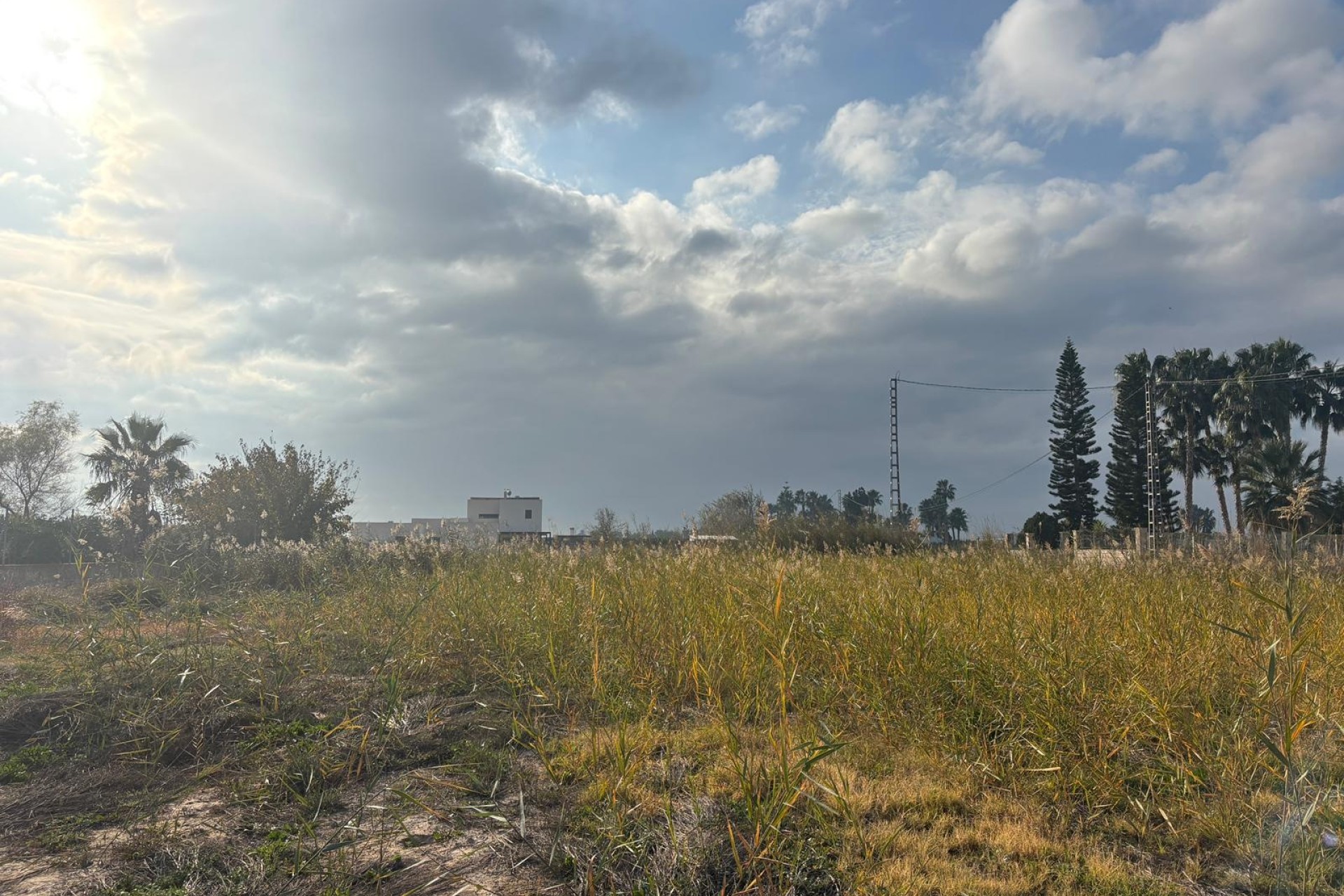 Sprzedaż - Finca nieruchomość wiejska -
Catral