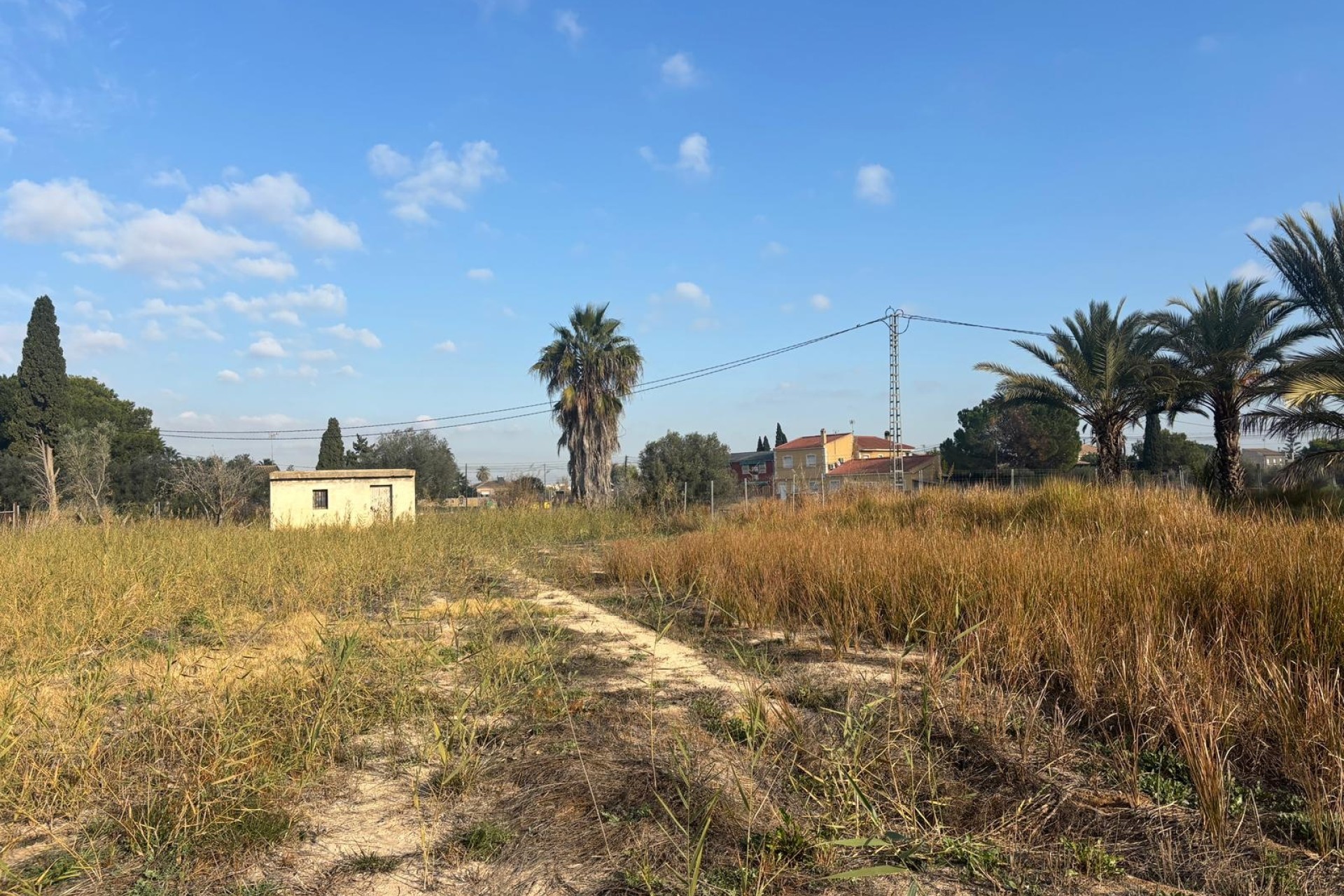 Sprzedaż - Finca nieruchomość wiejska -
Catral