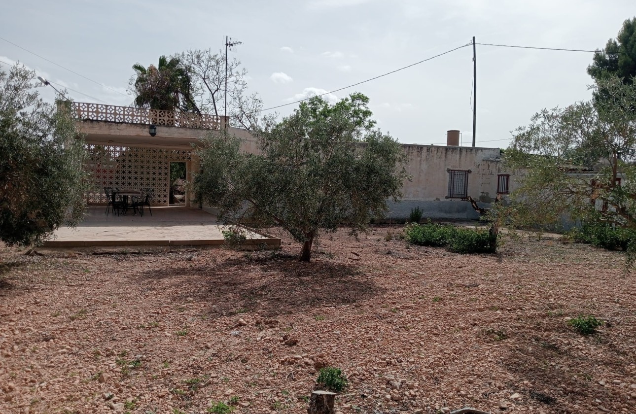 Sprzedaż - Finca nieruchomość wiejska -
Crevillente