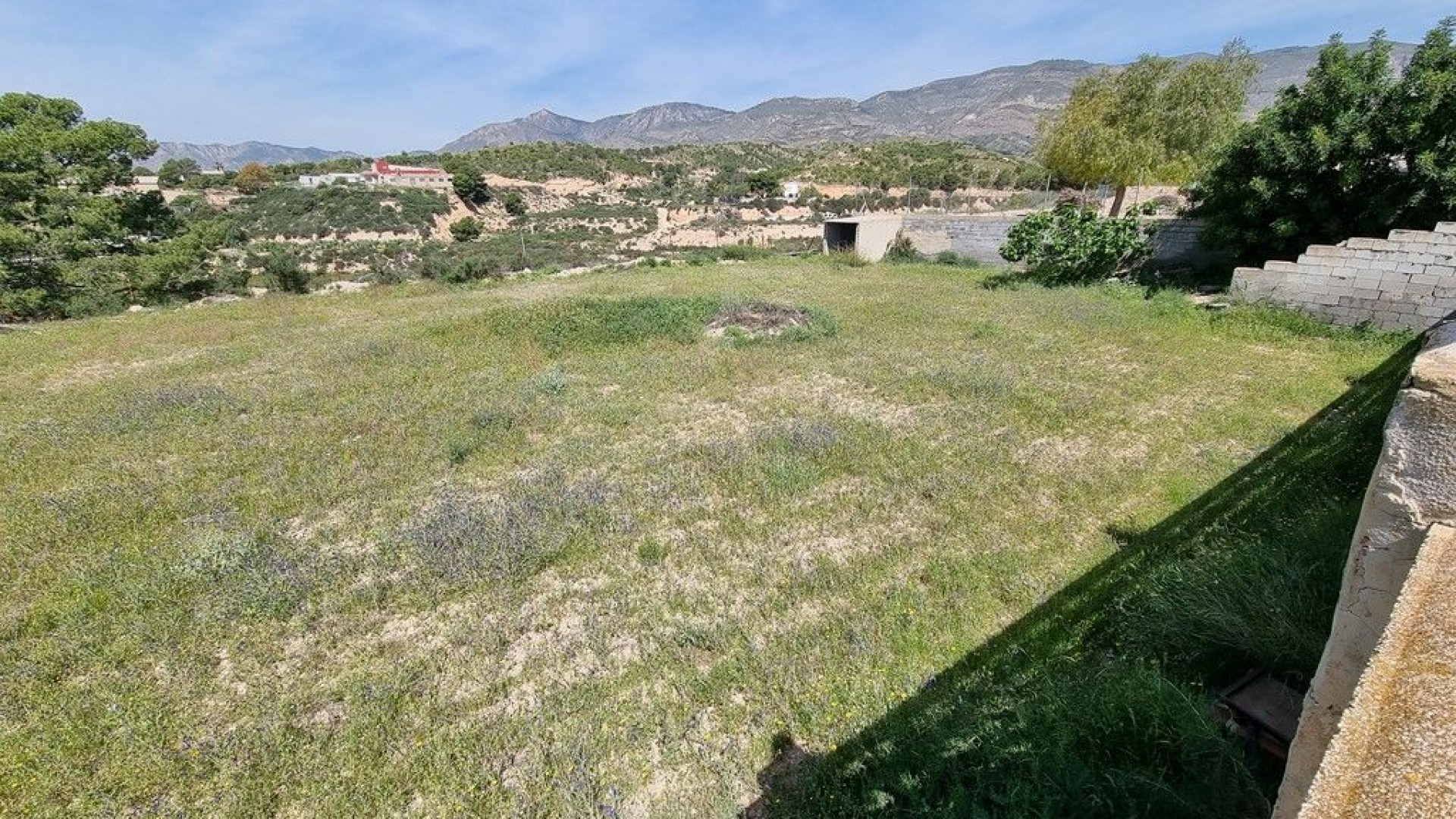 Sprzedaż - Finca nieruchomość wiejska -
Crevillente