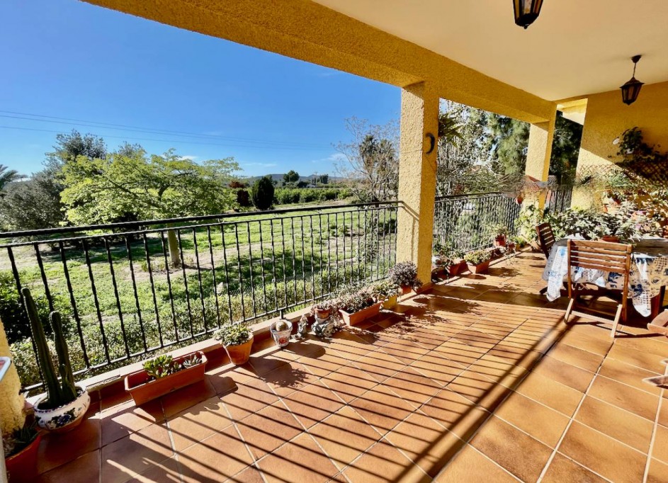 Sprzedaż - Finca nieruchomość wiejska -
Daya Nueva