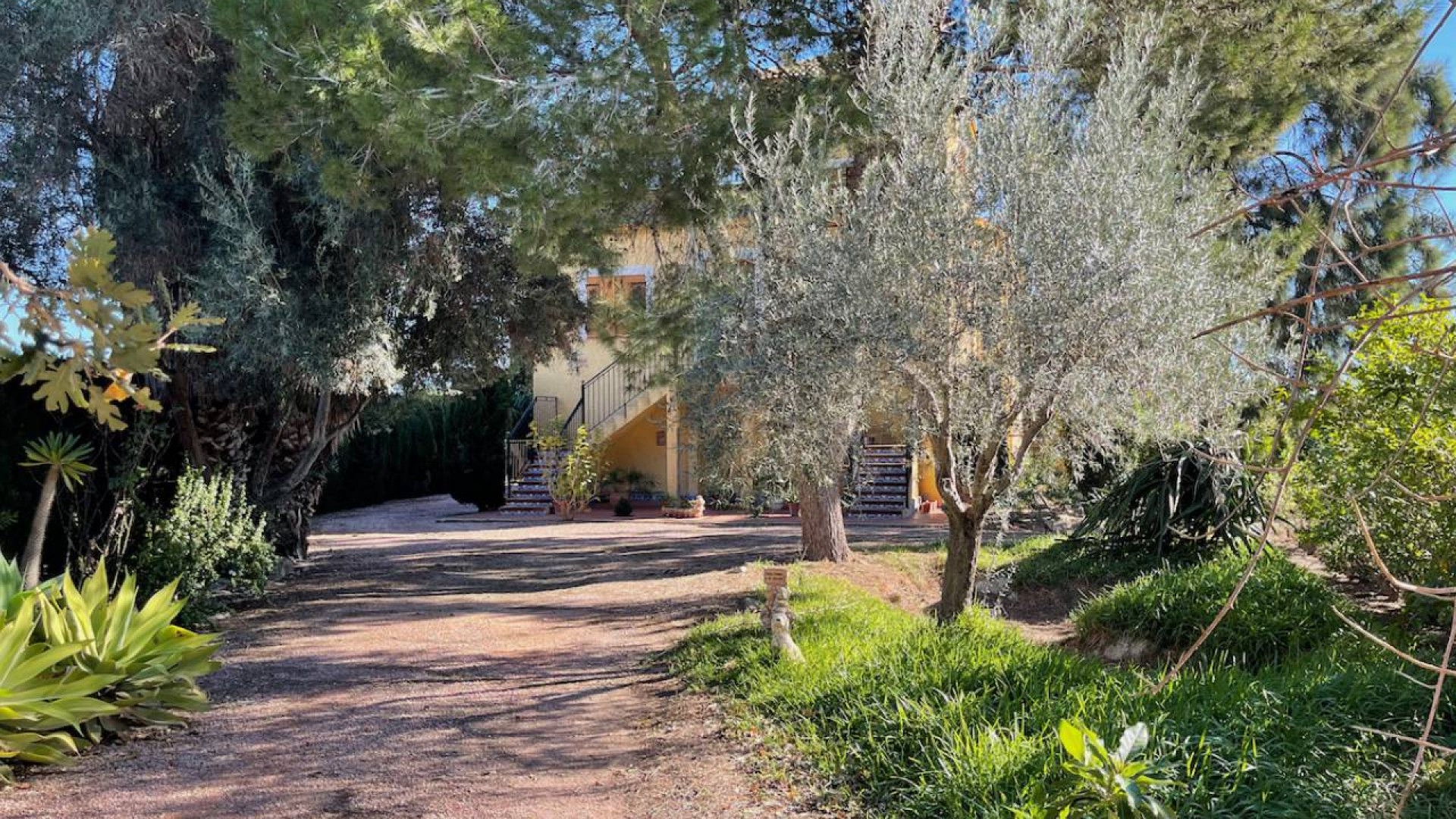 Sprzedaż - Finca nieruchomość wiejska -
Daya Nueva