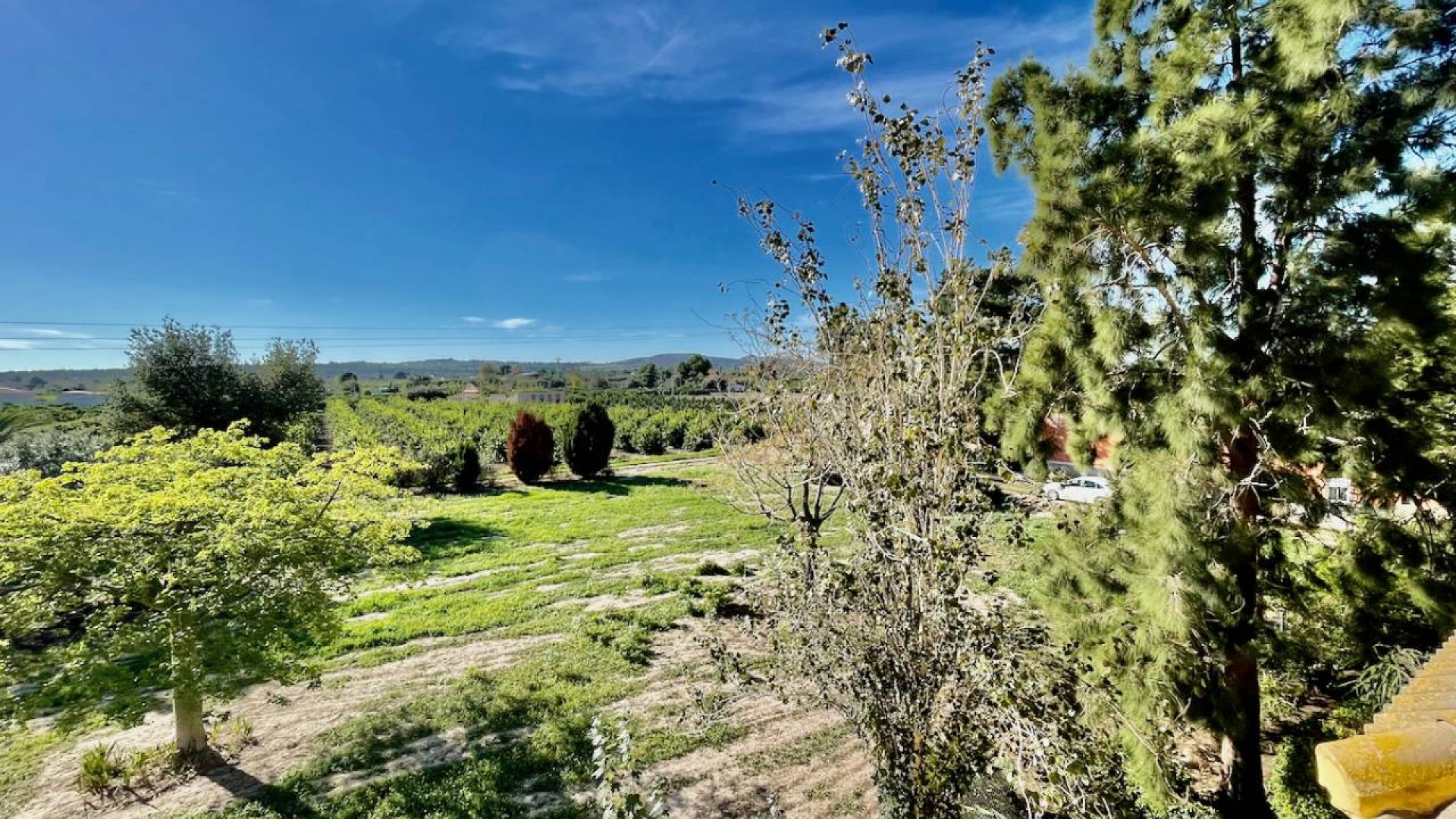 Sprzedaż - Finca nieruchomość wiejska -
Daya Nueva