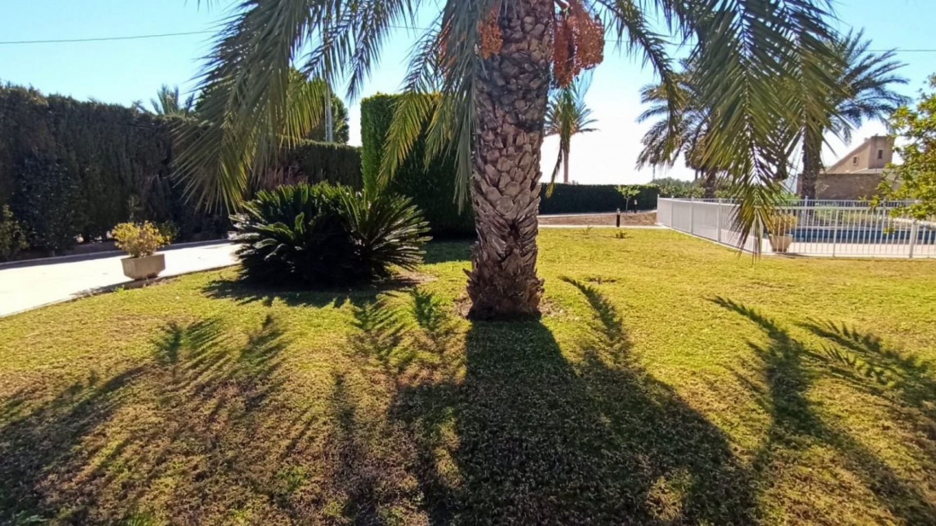 Sprzedaż - Finca nieruchomość wiejska -
Elche