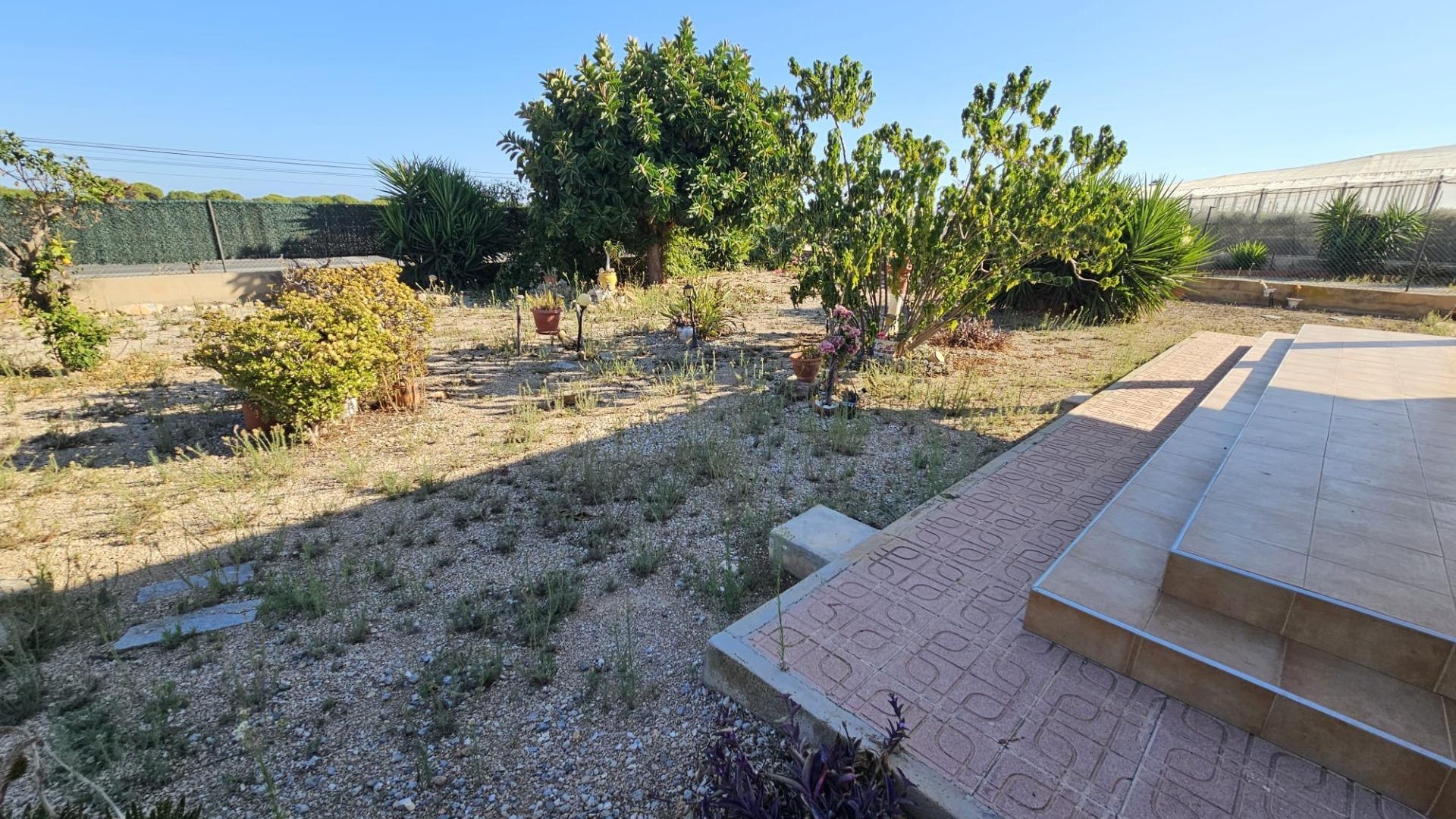 Sprzedaż - Finca nieruchomość wiejska -
Guardamar del Segura - Buenavista