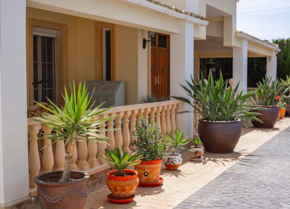 Sprzedaż - Finca nieruchomość wiejska -
Heredades