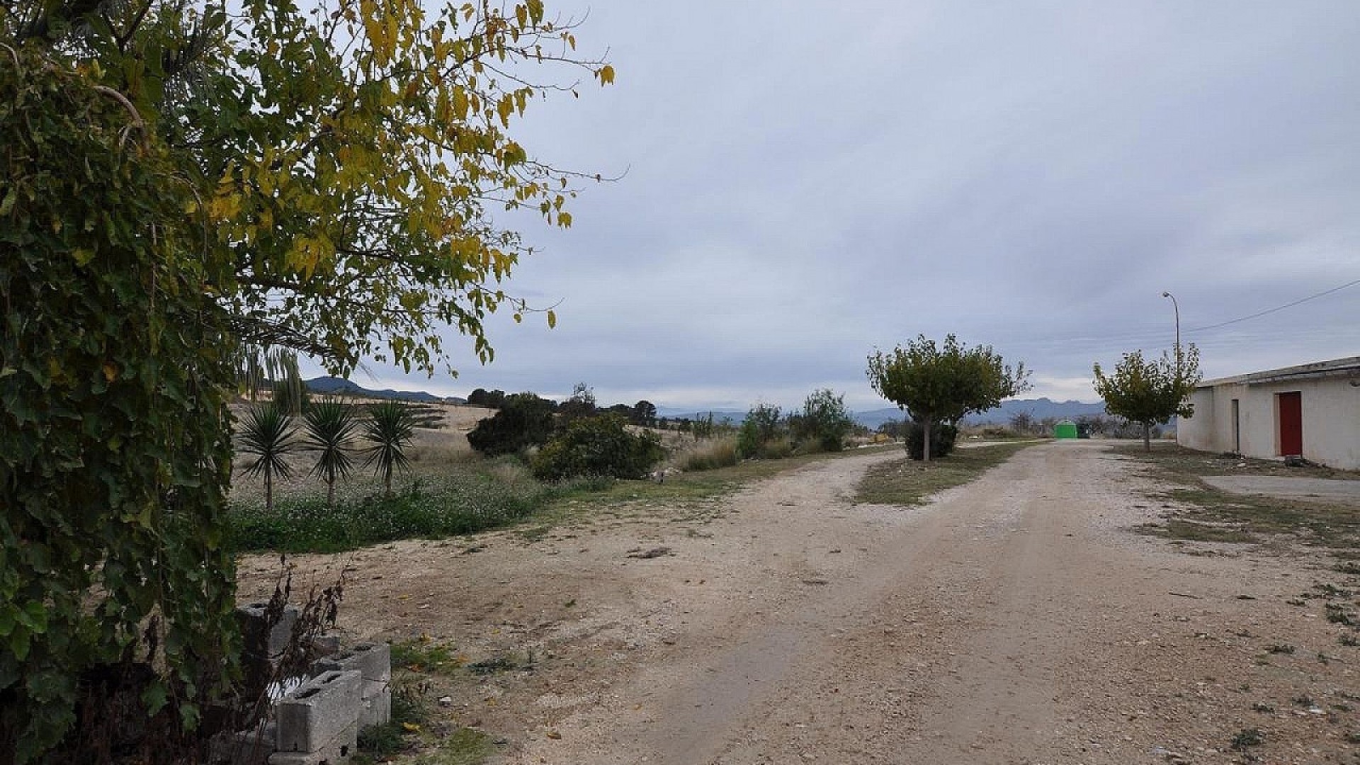 Sprzedaż - Finca nieruchomość wiejska -
Jumilla