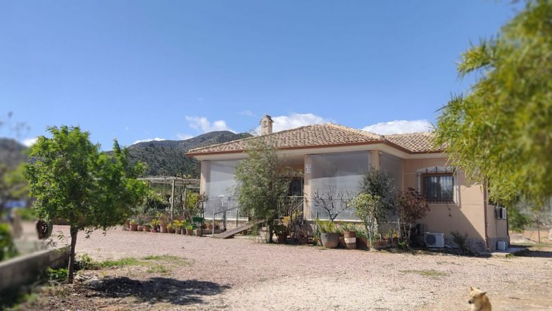 Sprzedaż - Finca nieruchomość wiejska -
La Romana