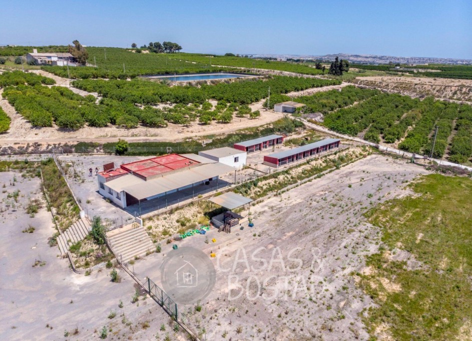 Sprzedaż - Finca nieruchomość wiejska -
Los Montesinos - LOS MONTESINOS