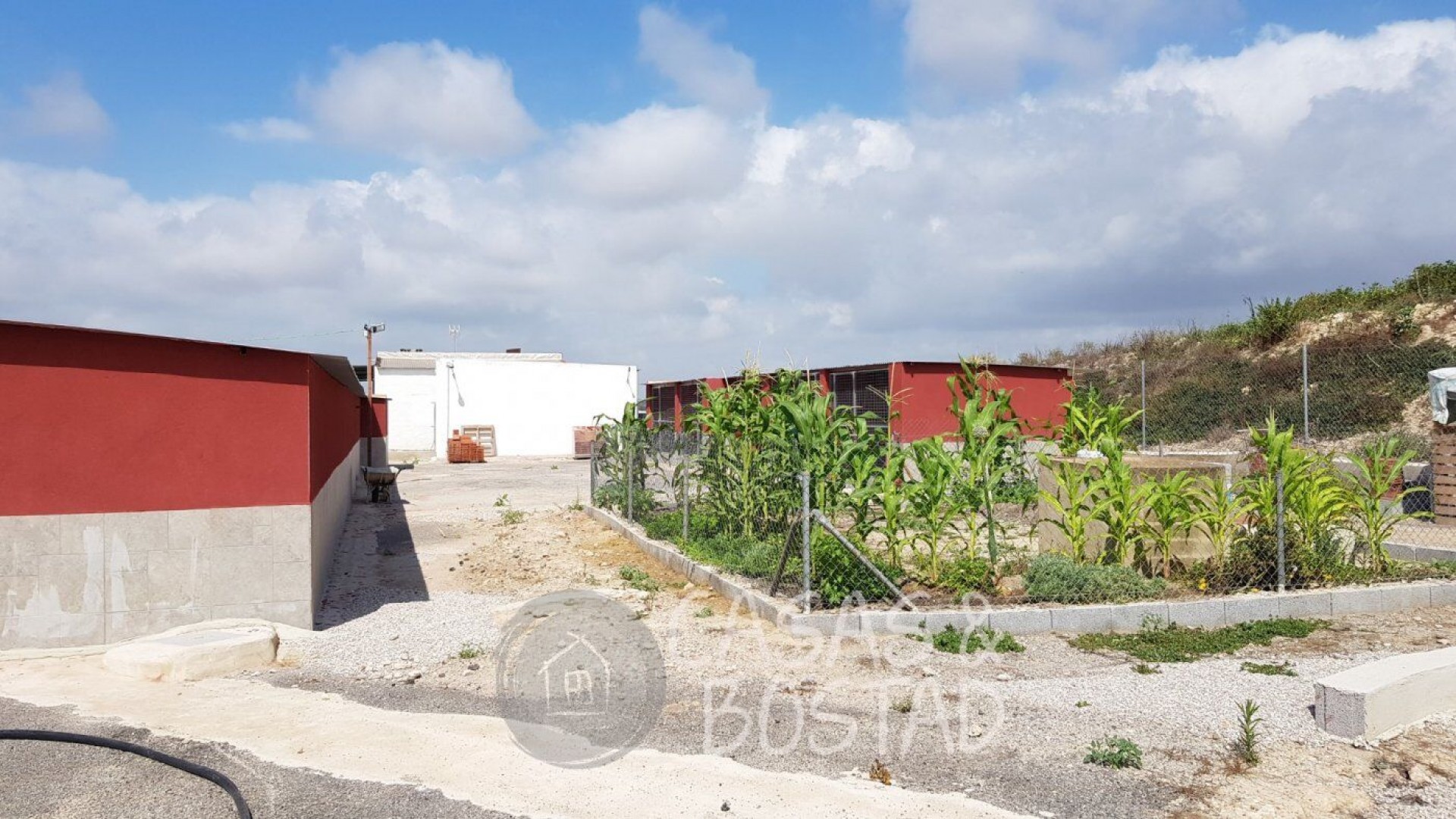 Sprzedaż - Finca nieruchomość wiejska -
Los Montesinos - LOS MONTESINOS