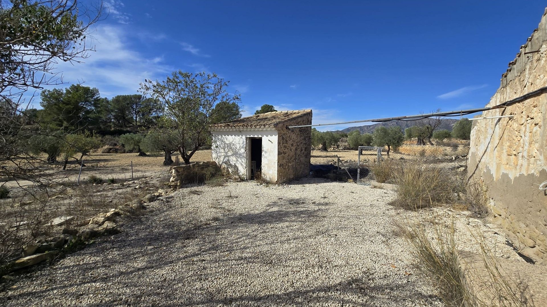 Sprzedaż - Finca nieruchomość wiejska -
Monóvar