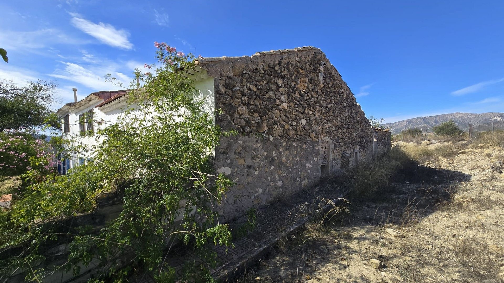 Sprzedaż - Finca nieruchomość wiejska -
Monóvar