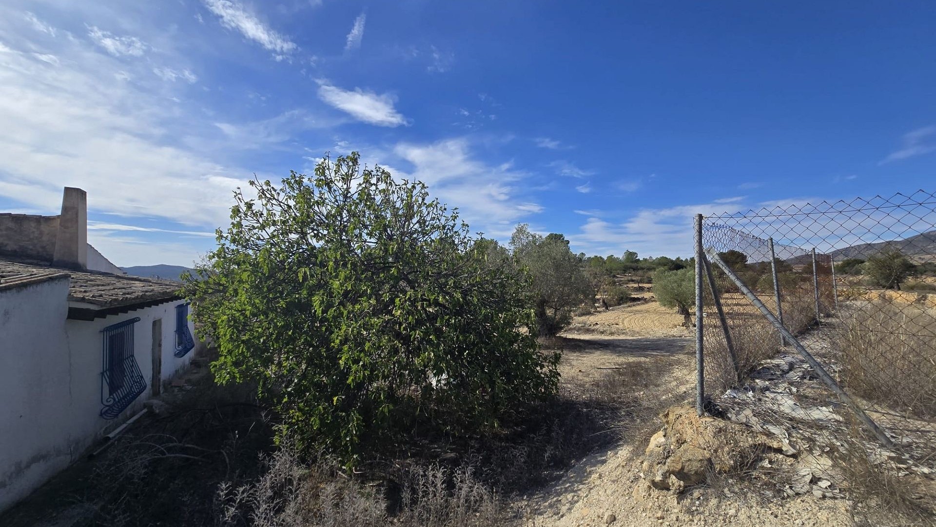 Sprzedaż - Finca nieruchomość wiejska -
Monóvar