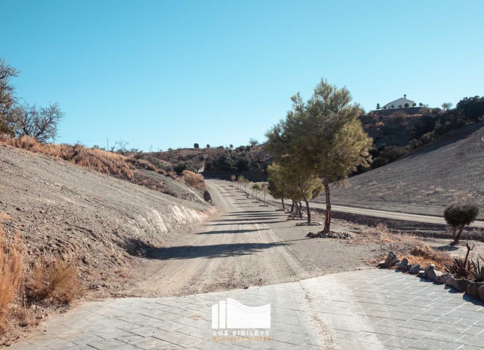 Sprzedaż - Finca nieruchomość wiejska -
Murcia