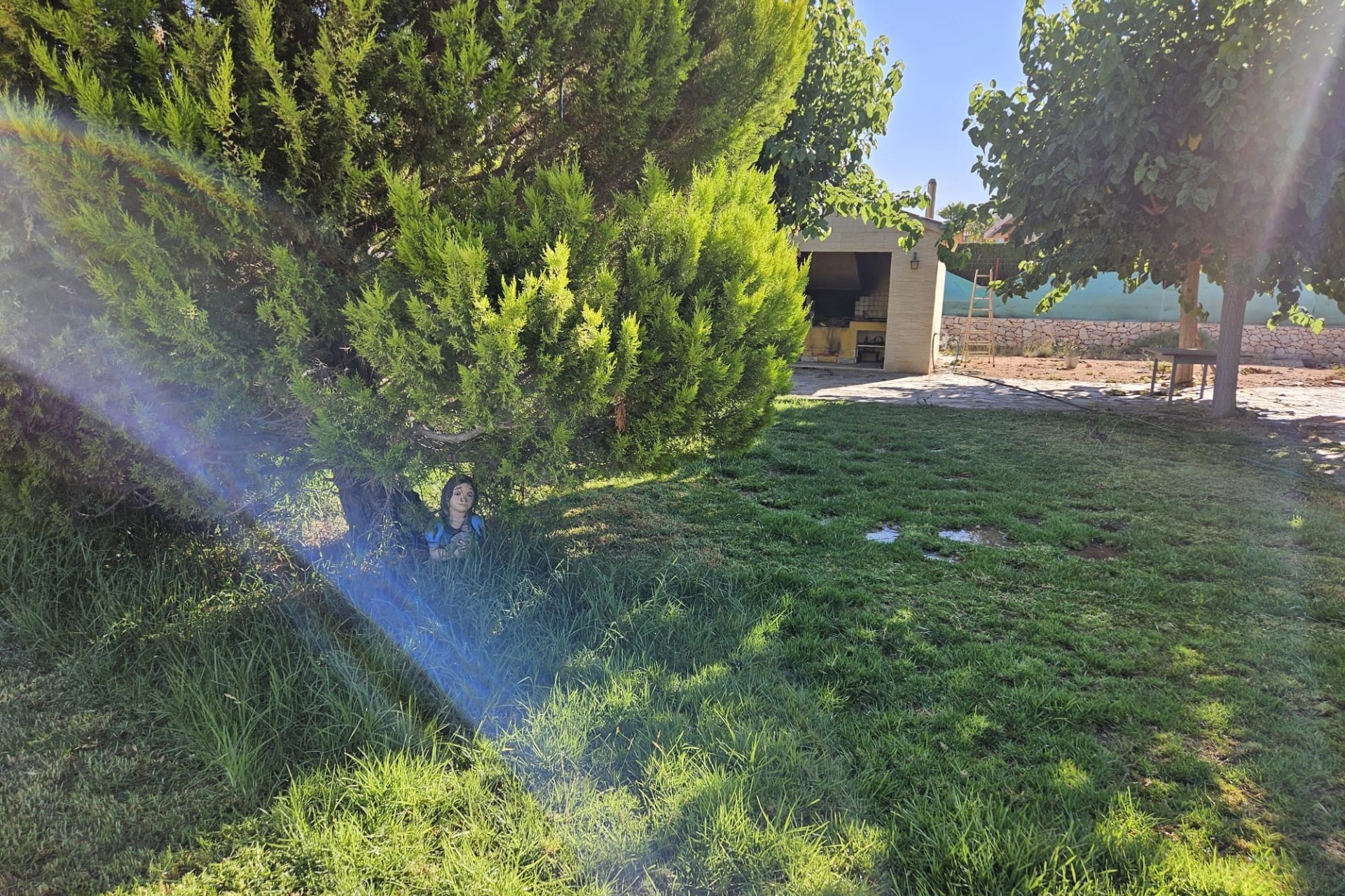 Sprzedaż - Finca nieruchomość wiejska -
Novelda