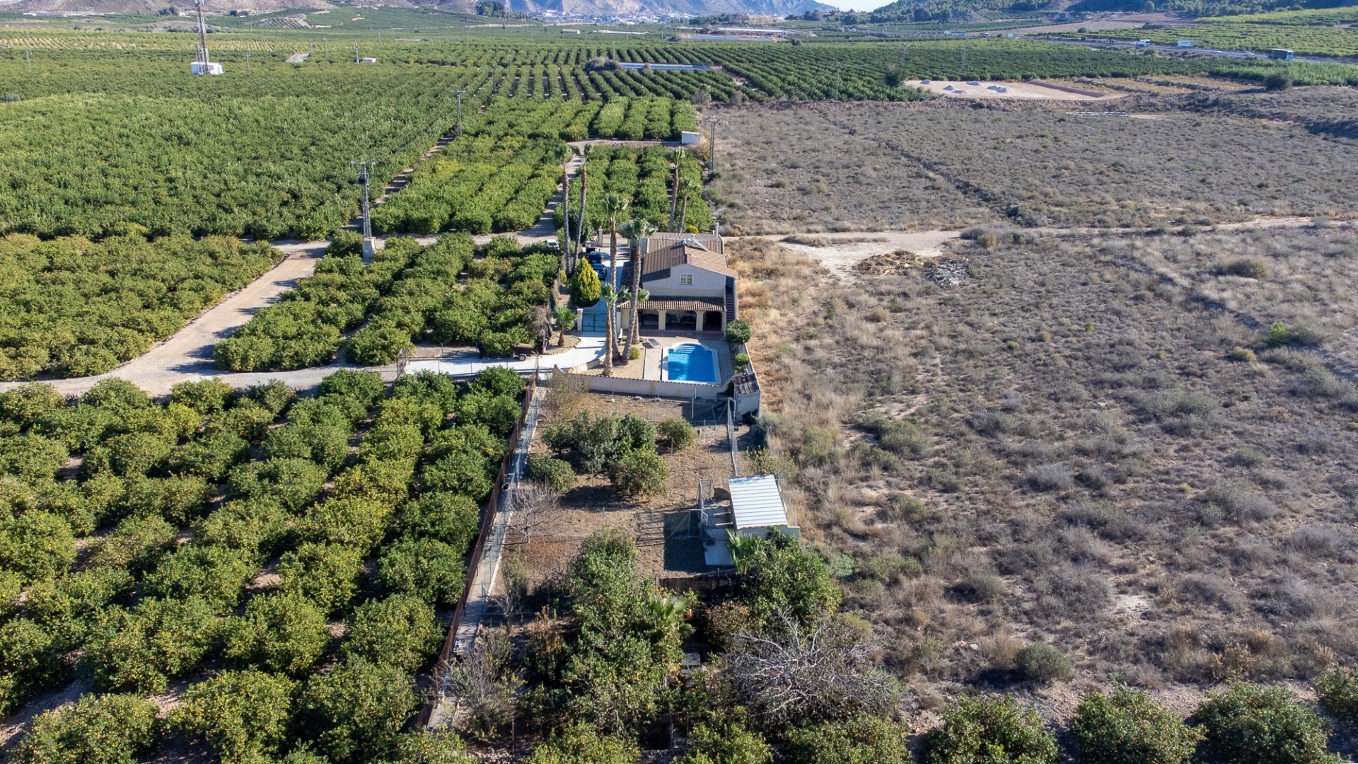 Sprzedaż - Finca nieruchomość wiejska -
Orihuela - La Matanza