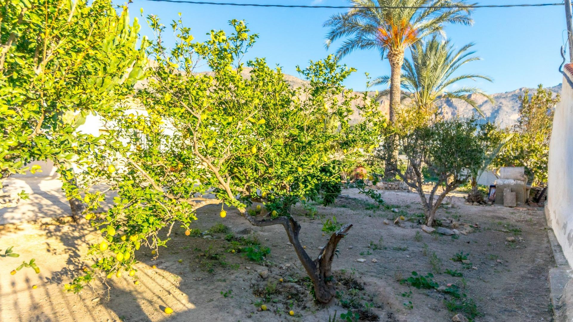 Sprzedaż - Finca nieruchomość wiejska -
Orihuela - Raiguero de Bonanza