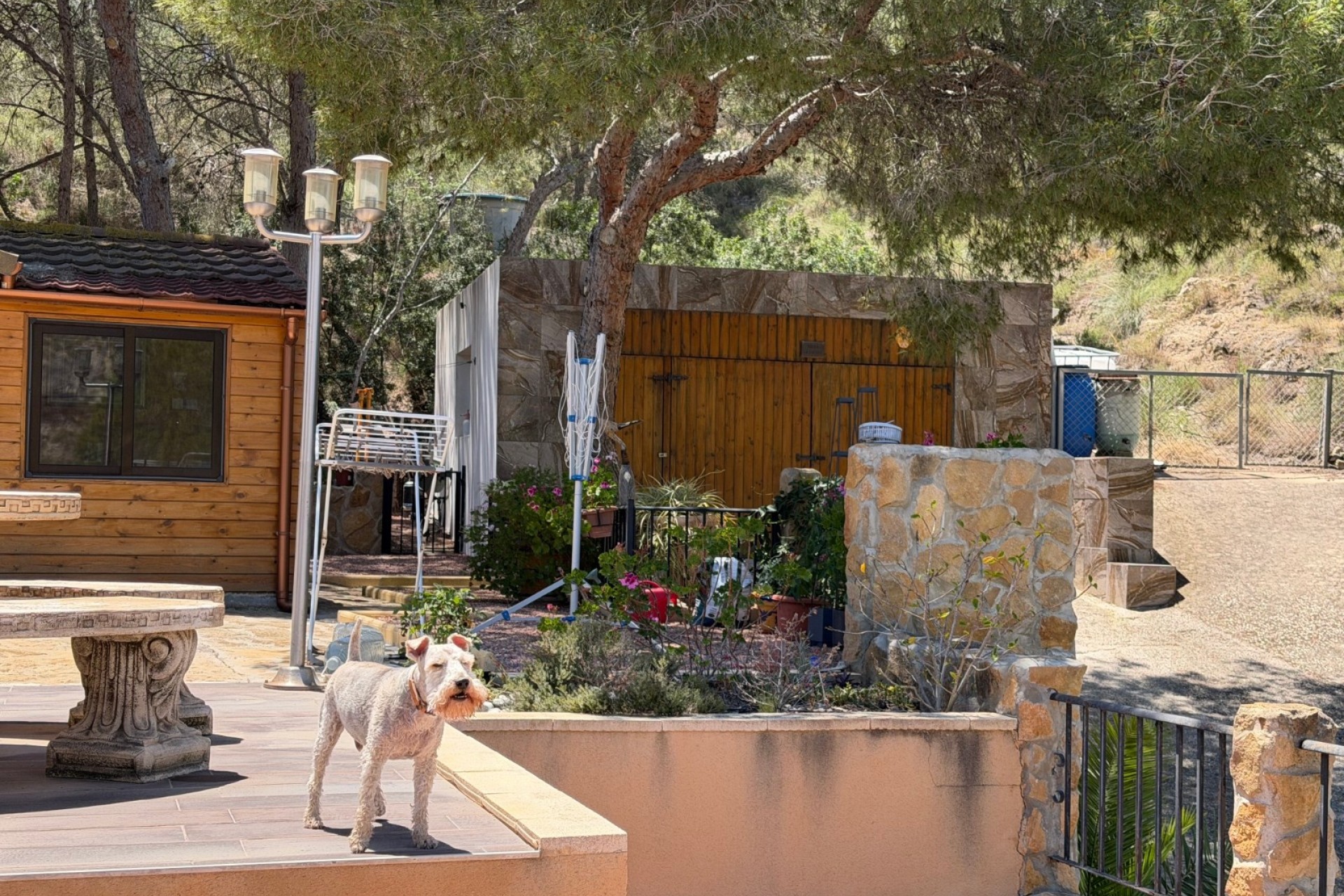 Sprzedaż - Finca nieruchomość wiejska -
Orihuela - Torremendo