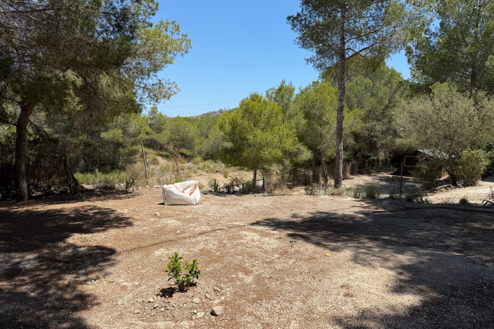 Sprzedaż - Finca nieruchomość wiejska -
Orihuela - Torremendo